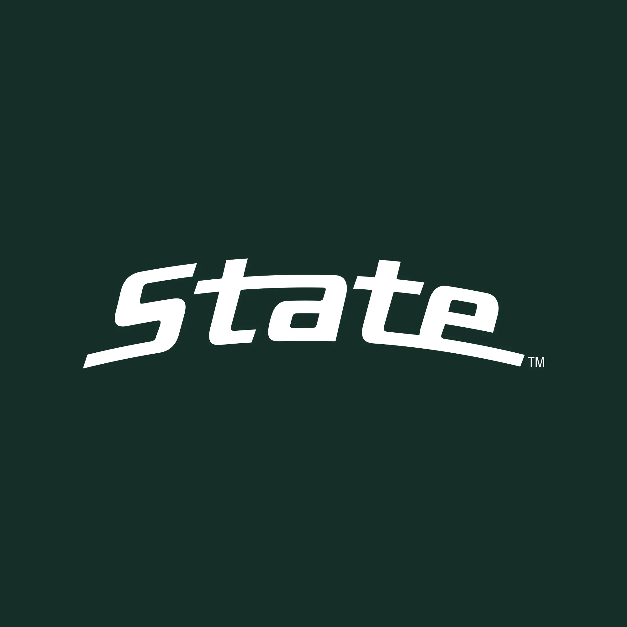 MSU State Wordmark Hoodie - Forest - Image 2