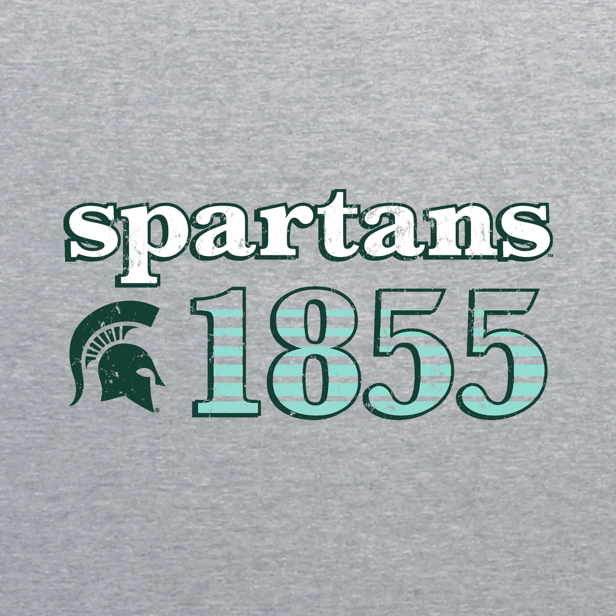 Michigan State University Spartans Throwback Year Stripe Heavy Blend Hoodie - Sport Grey - Image 2