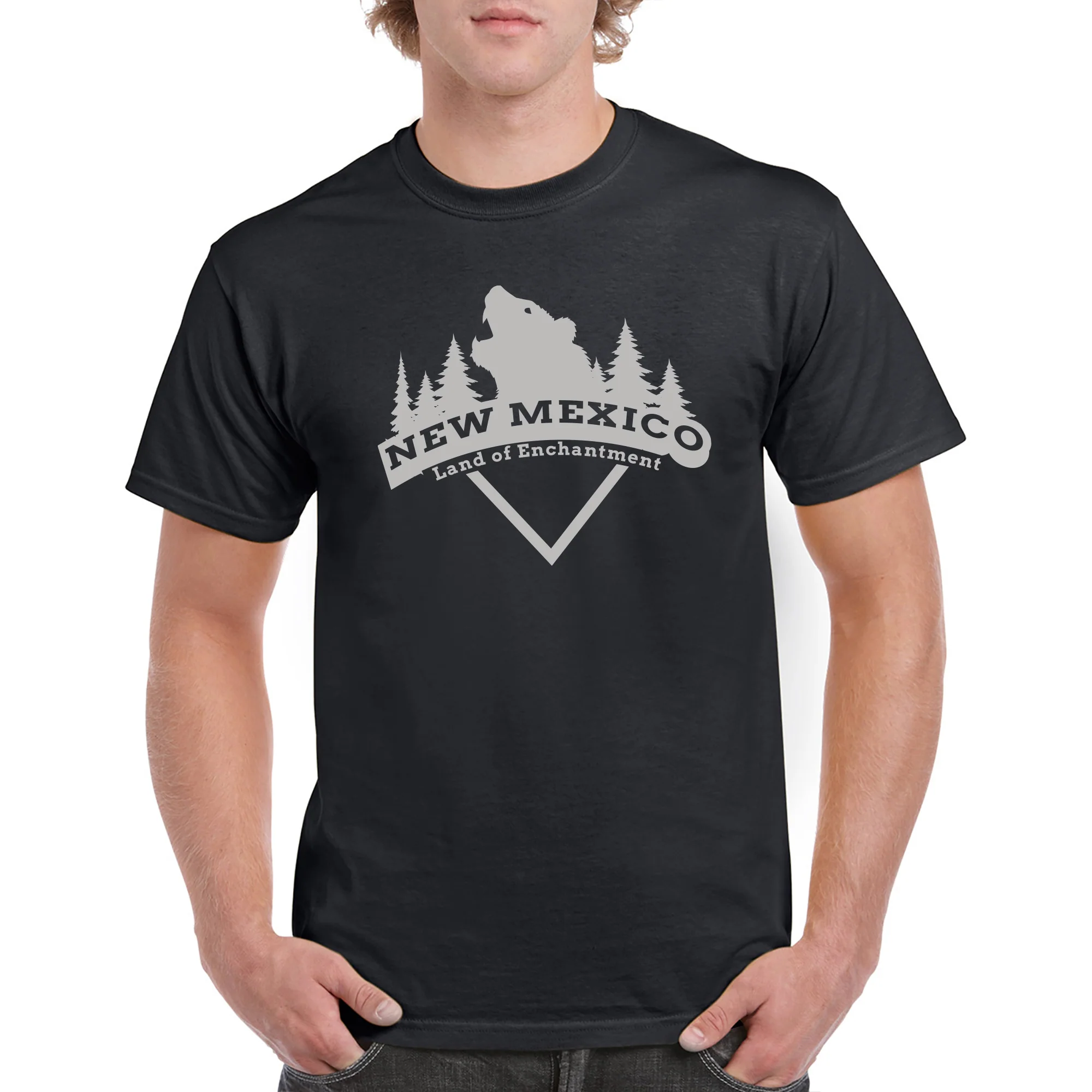 New Mexico Bear Arch T-Shirt - Black - Image 3