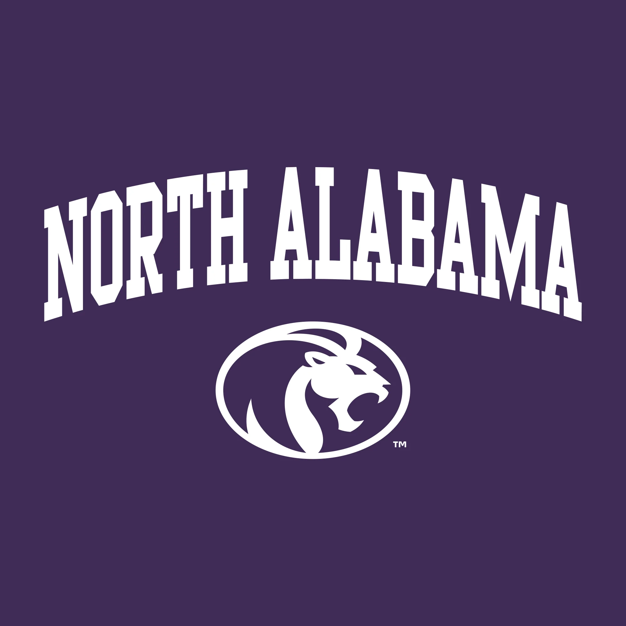 North Alabama Arch Logo Long Sleeve - Purple - Image 2