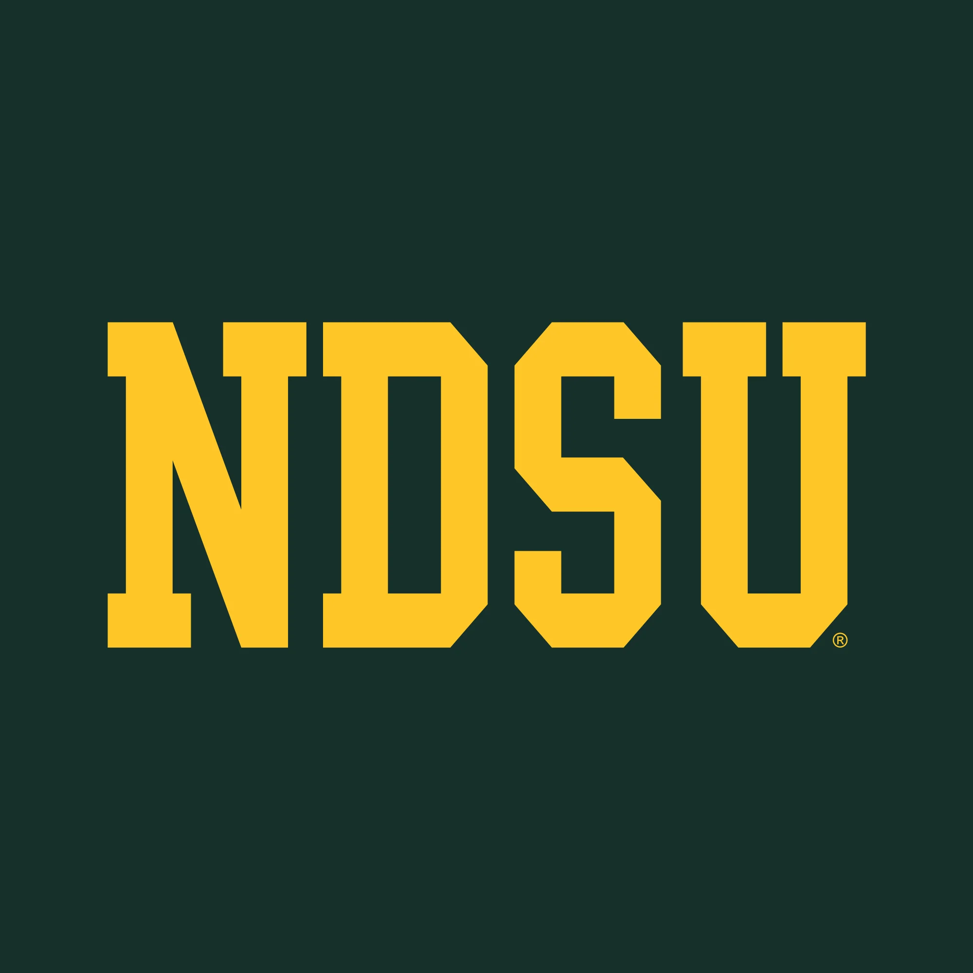 North Dakota State University Bison Basic Block Hoodie - Forest - Image 2
