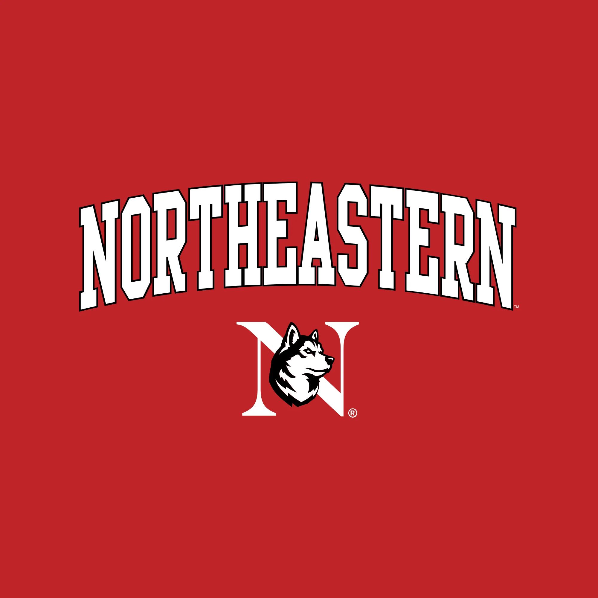 Northeastern University Arch Logo Hoodie - Image 3