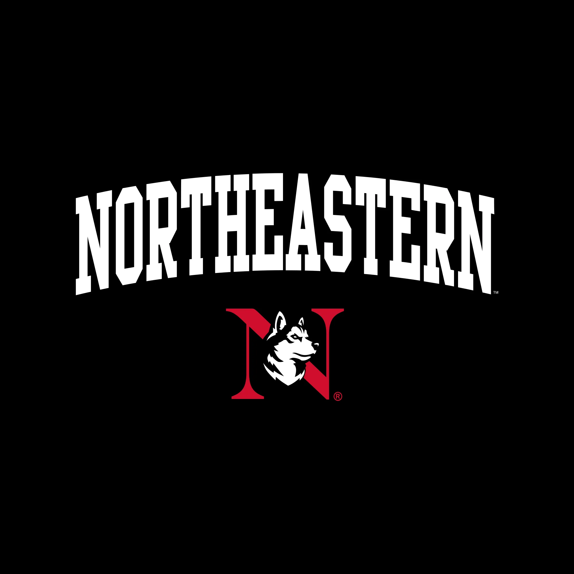 Northeastern University Arch Logo Hoodie - Image 5