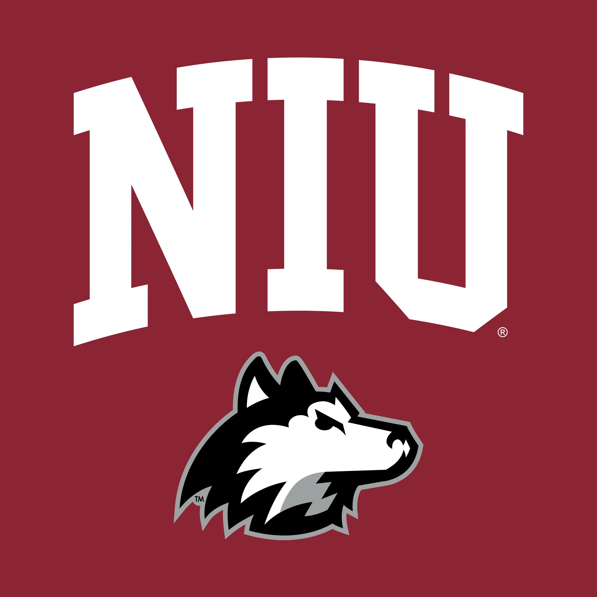 Northern Illinois Arch Logo Youth T-Shirt - Cardinal - Image 2