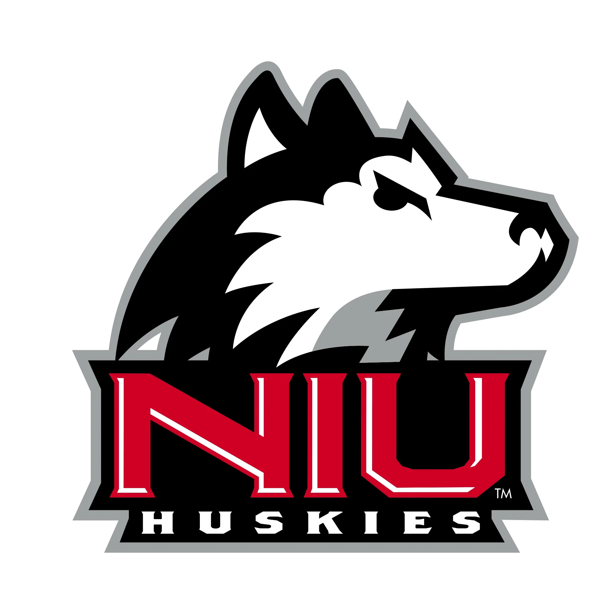 Northern Illinois Primary Logo T-Shirt - White - Image 2