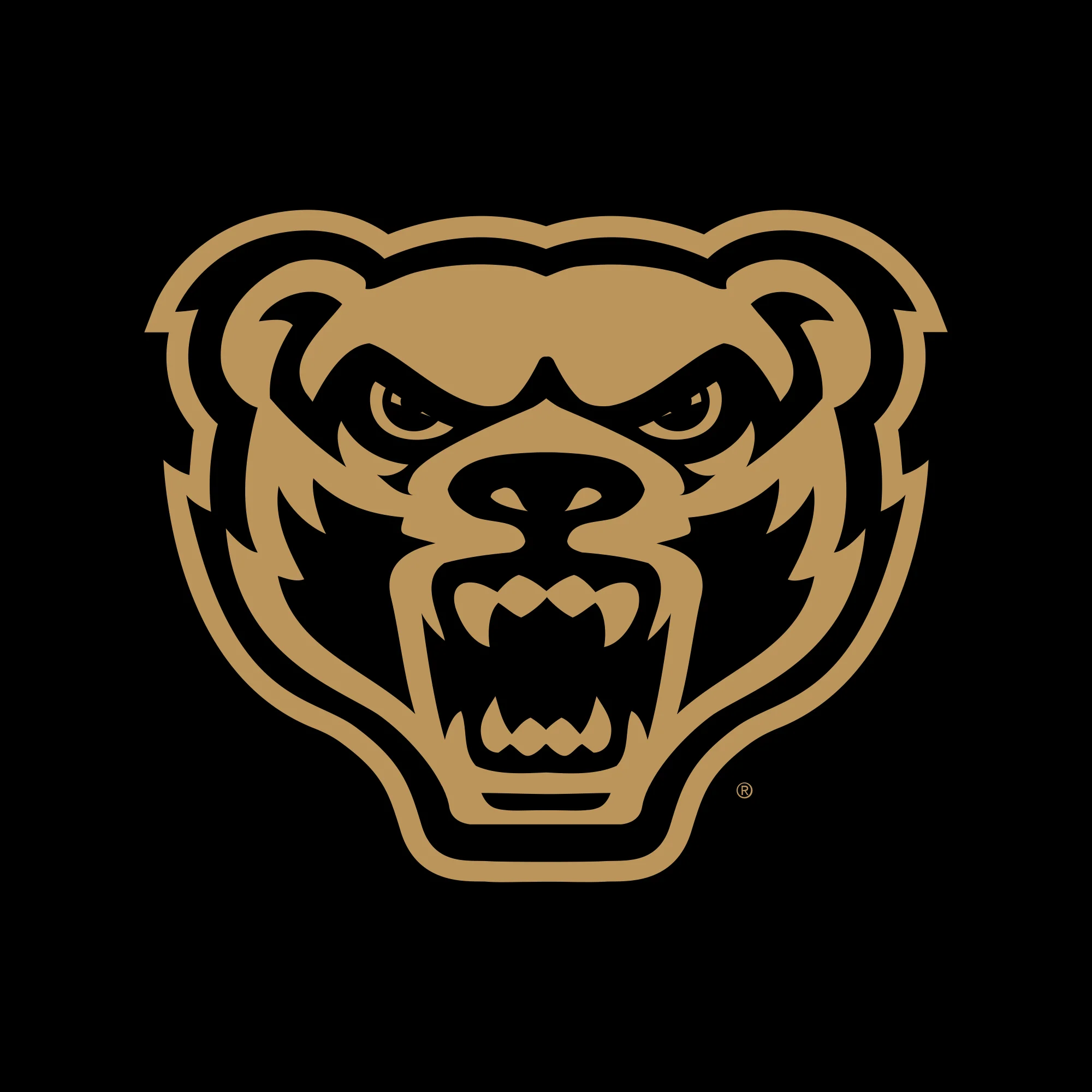 Oakland University Front and Back Print Hoodie - Black - Image 4