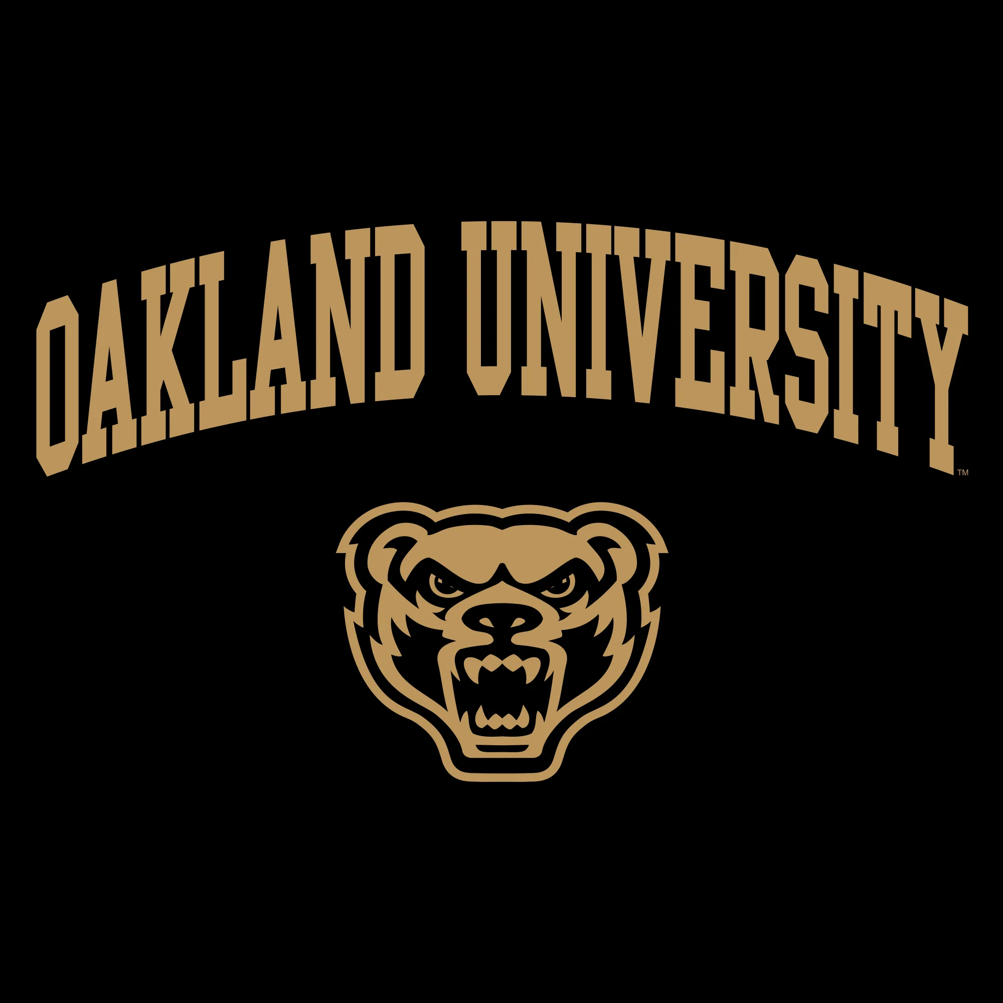 Oakland University Golden Grizzlies Arch Logo Hooded Sweatshirt - Black - Image 2