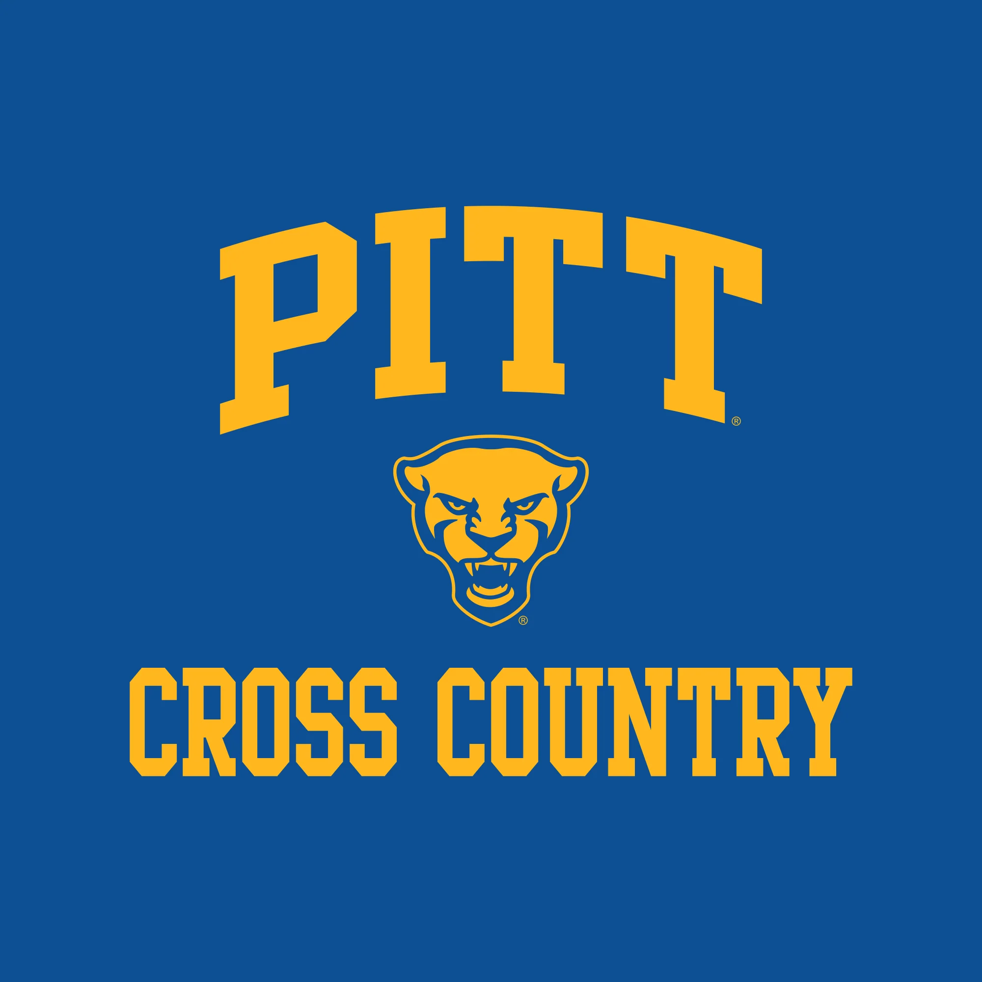 Pittsburgh Arch Logo Cross Country Hoodie - Royal - Image 2