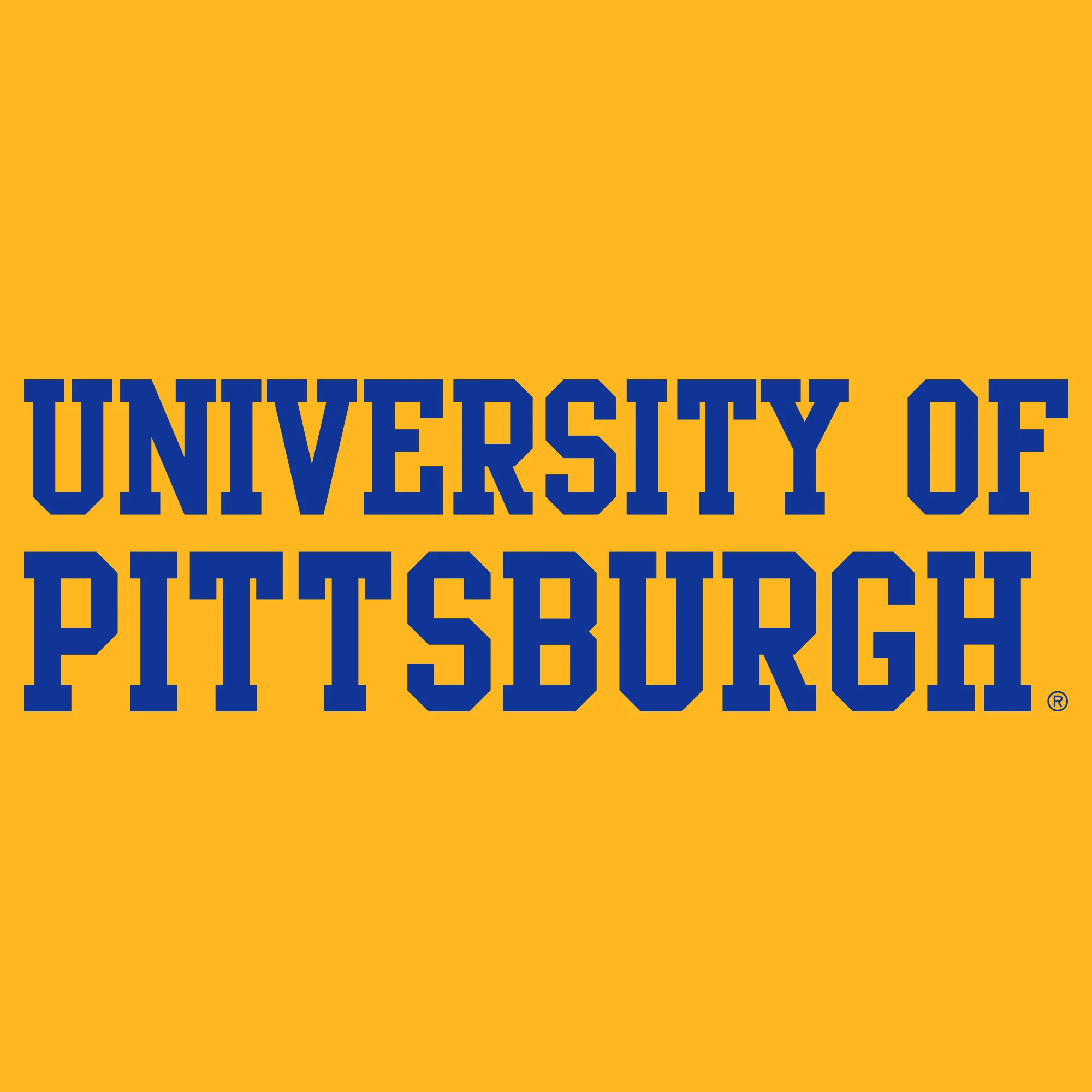Pittsburgh Panthers Basic Block T-Shirt - Image 6