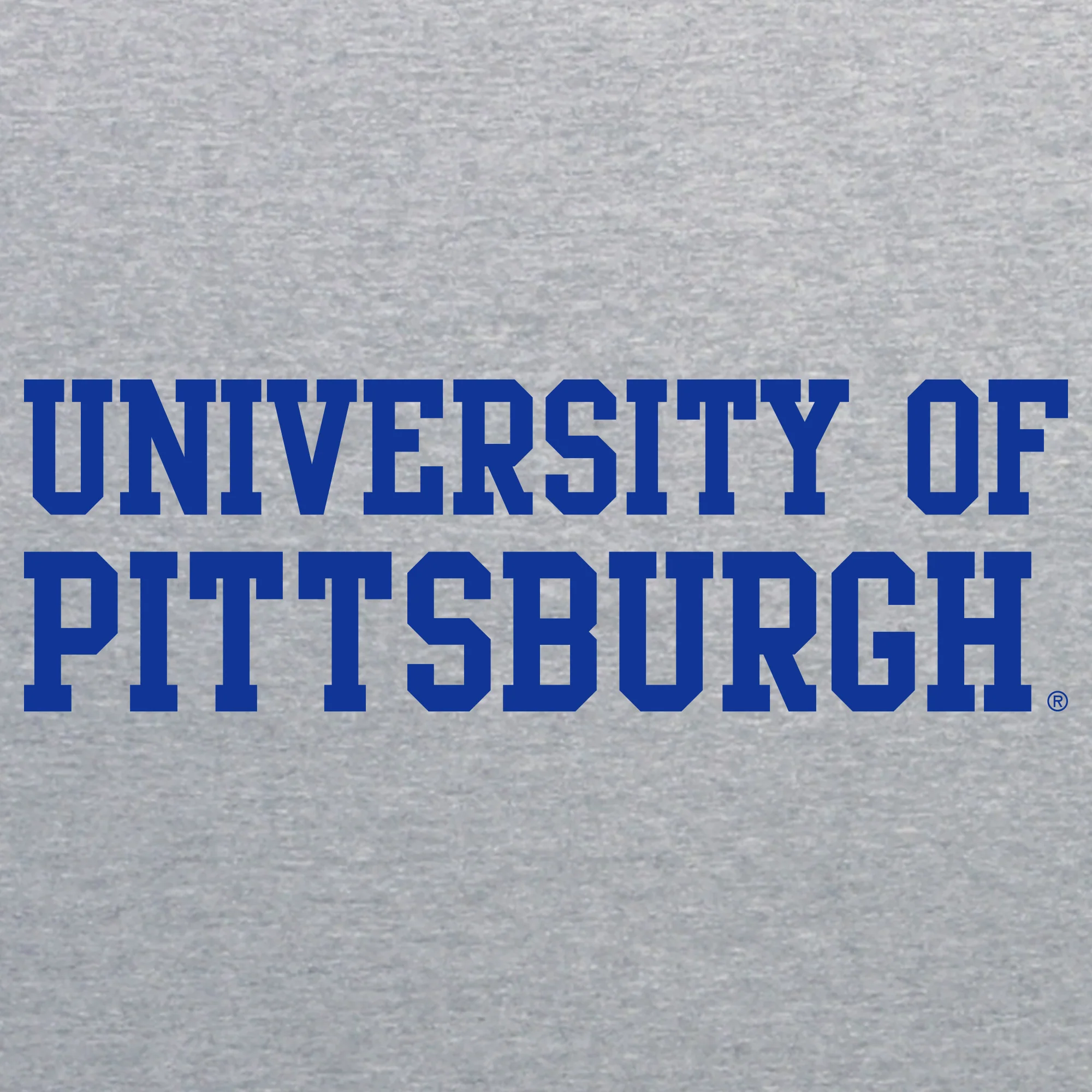 Pittsburgh Panthers Basic Block T-Shirt - Image 8