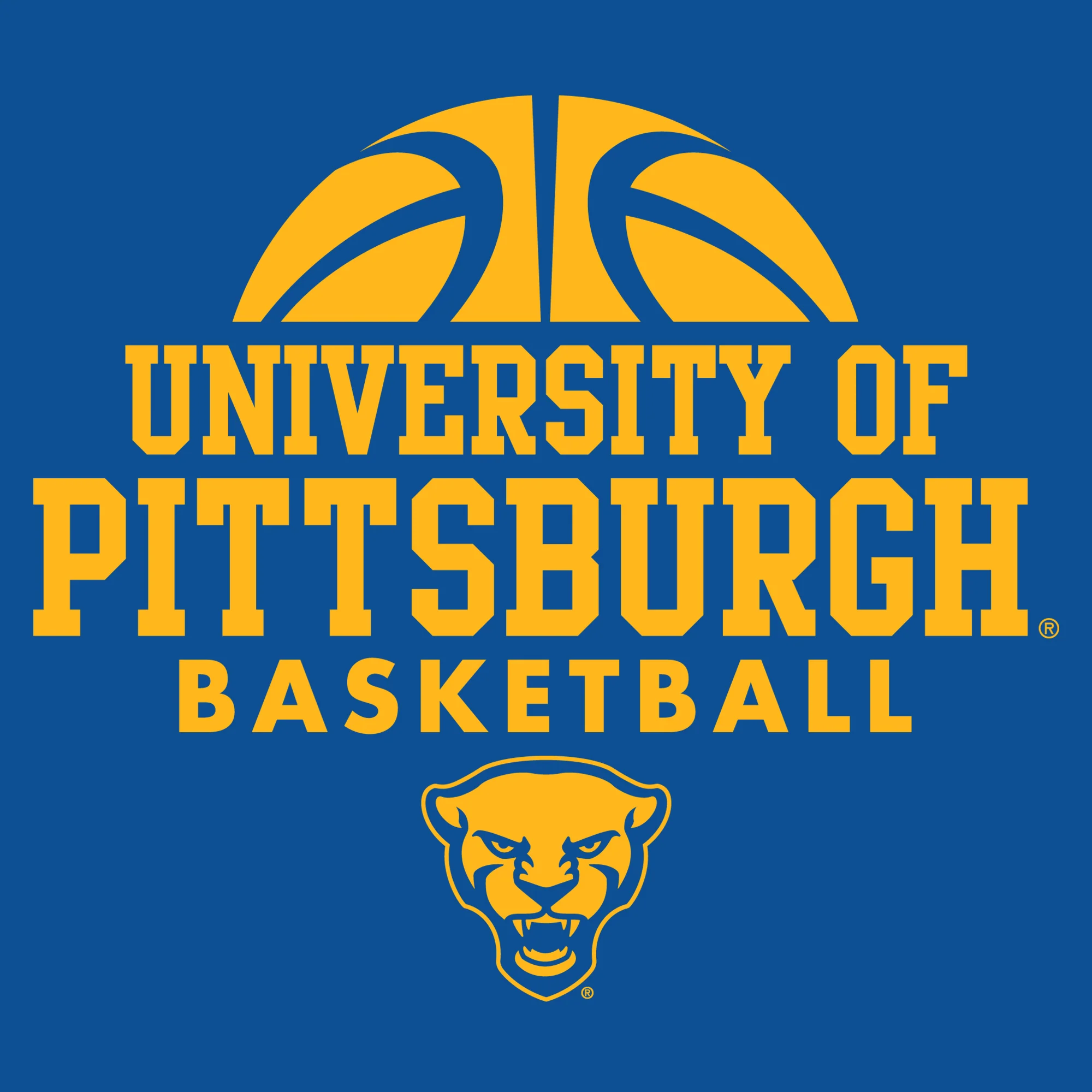 Pittsburgh Panthers Basketball Hype T-Shirt - Royal - Image 2