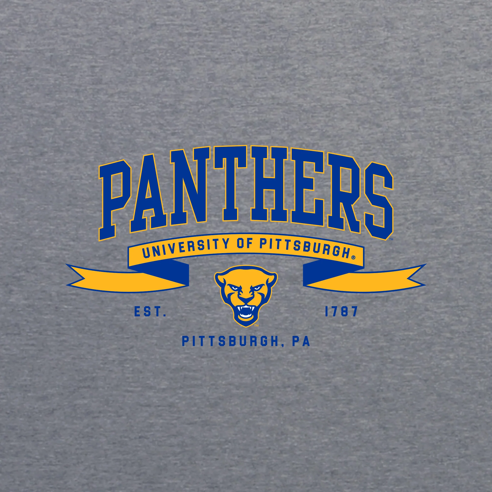 Pittsburgh Ribbon Flight NLA Triblend T-Shirt - Premium Heather - Image 2