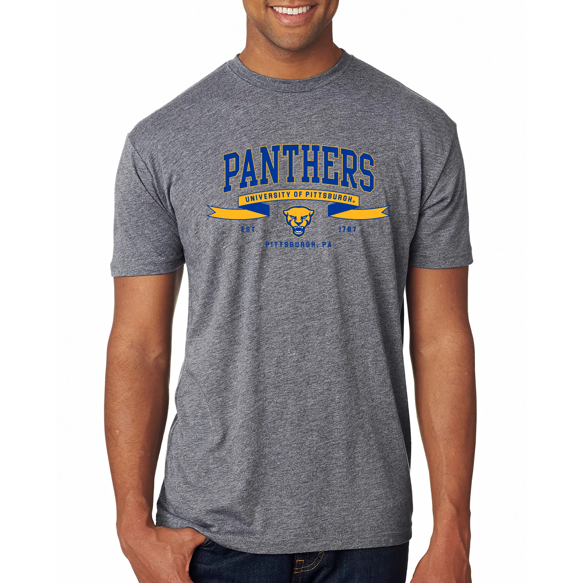 Pittsburgh Ribbon Flight NLA Triblend T-Shirt - Premium Heather - Image 3