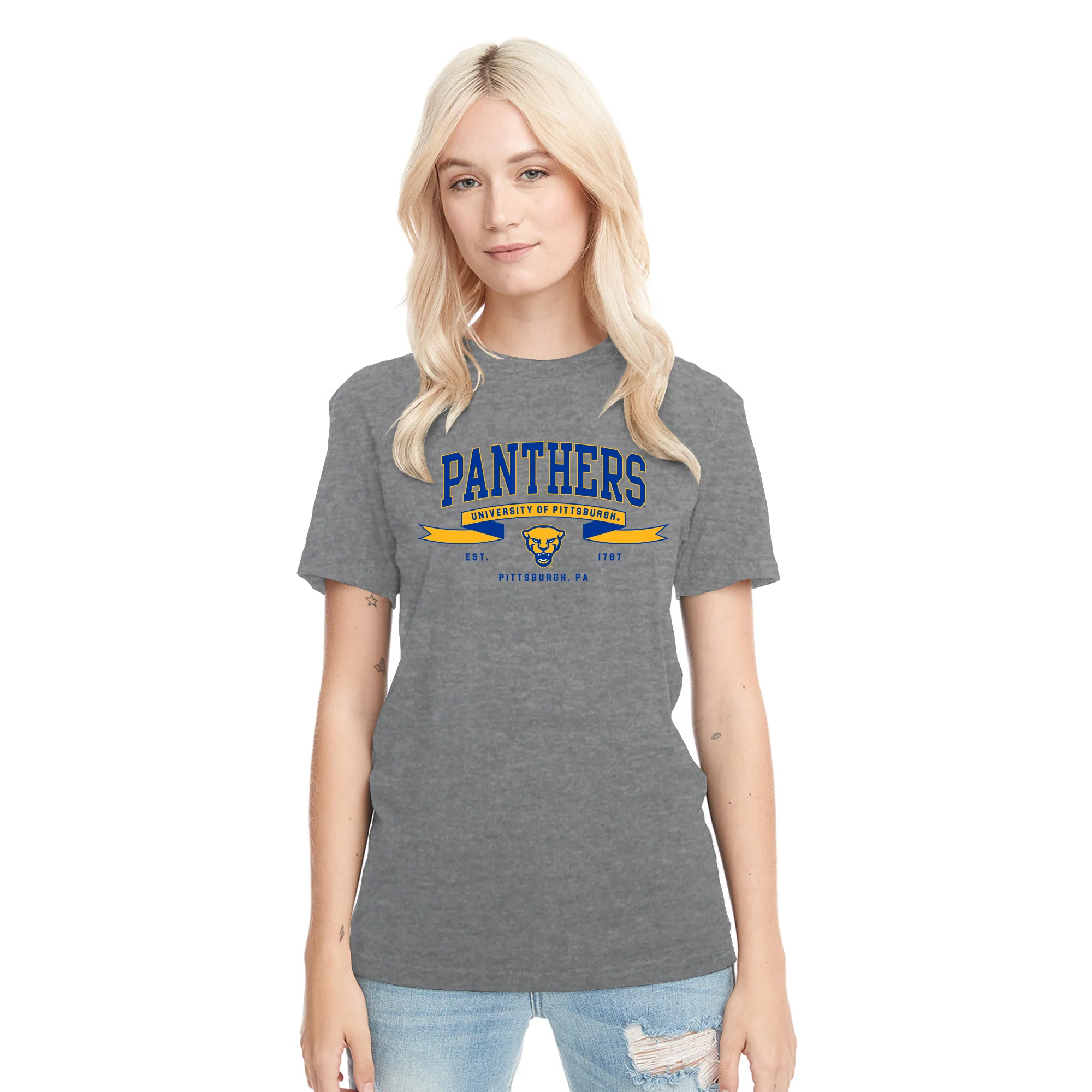 Pittsburgh Ribbon Flight NLA Triblend T-Shirt - Premium Heather - Image 4