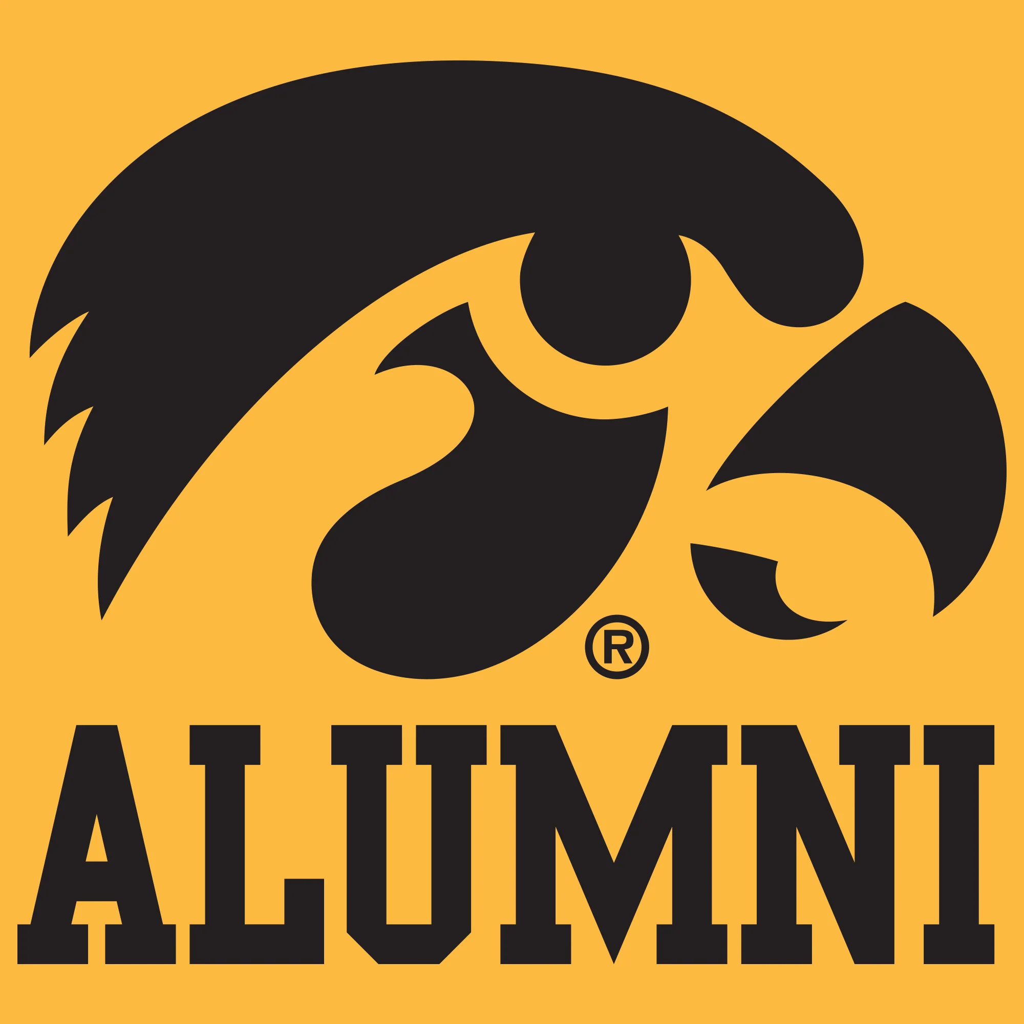 Primary Alumni Iowa Hawekyes Basic Cotton Short Sleeve T Shirt - Gold - Image 2
