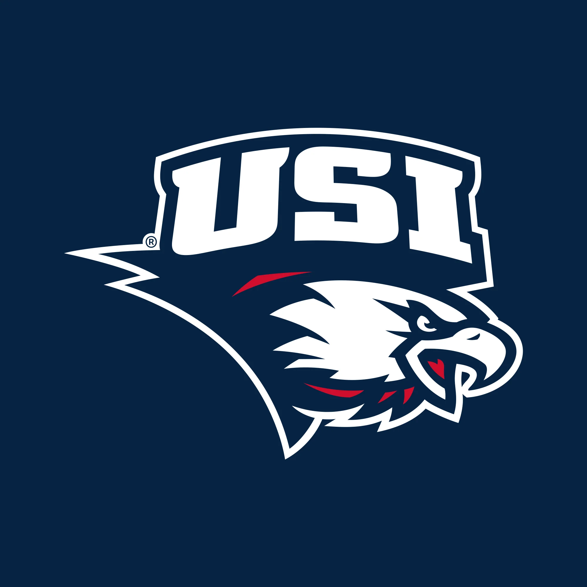 University of Southern Indiana Screaming Eagles Primary Logo Basic Cotton Short Sleeve Womens T Shirt - Navy - Image 2