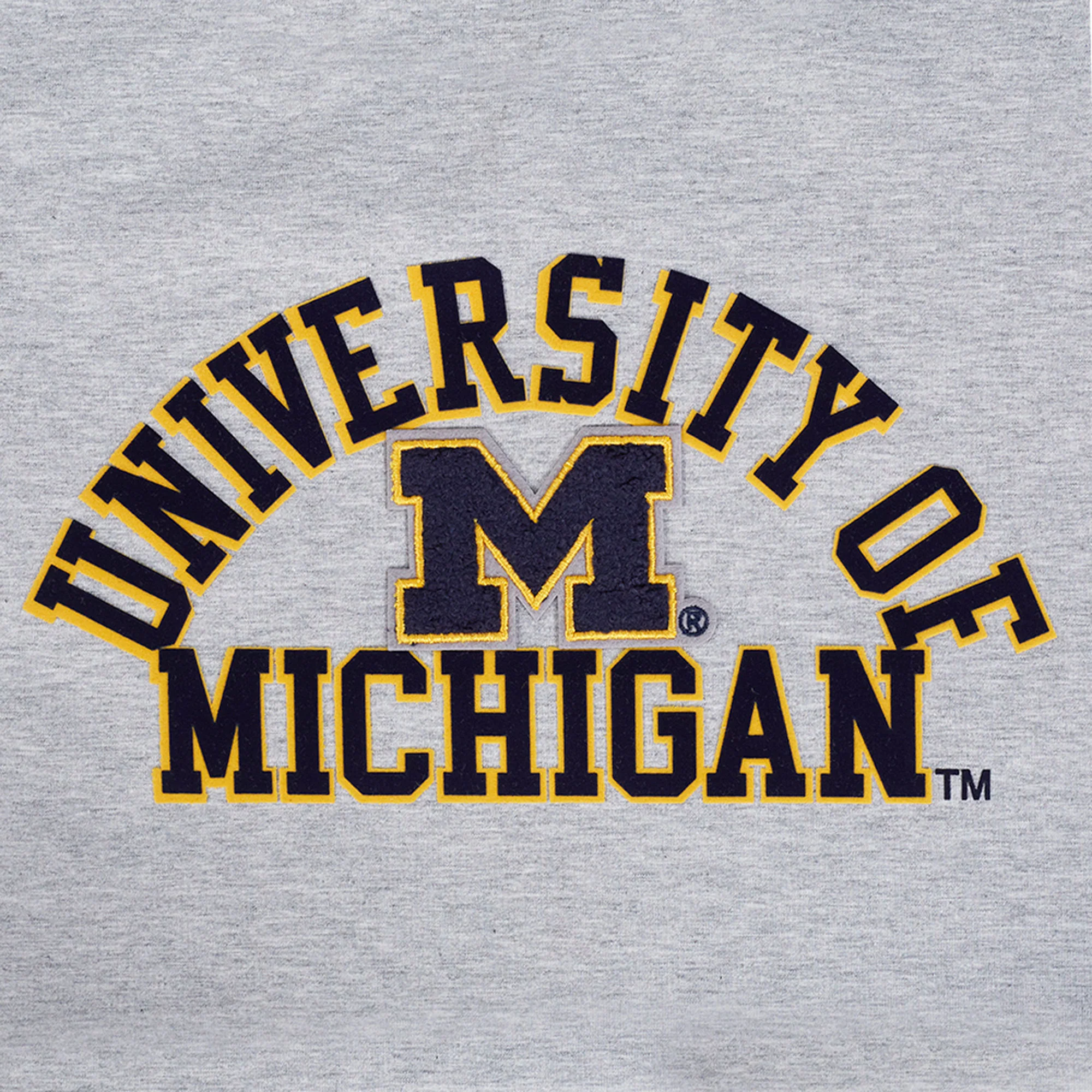 Pro Standard Michigan Women's Classic Boxy Tee - Gray - Image 2