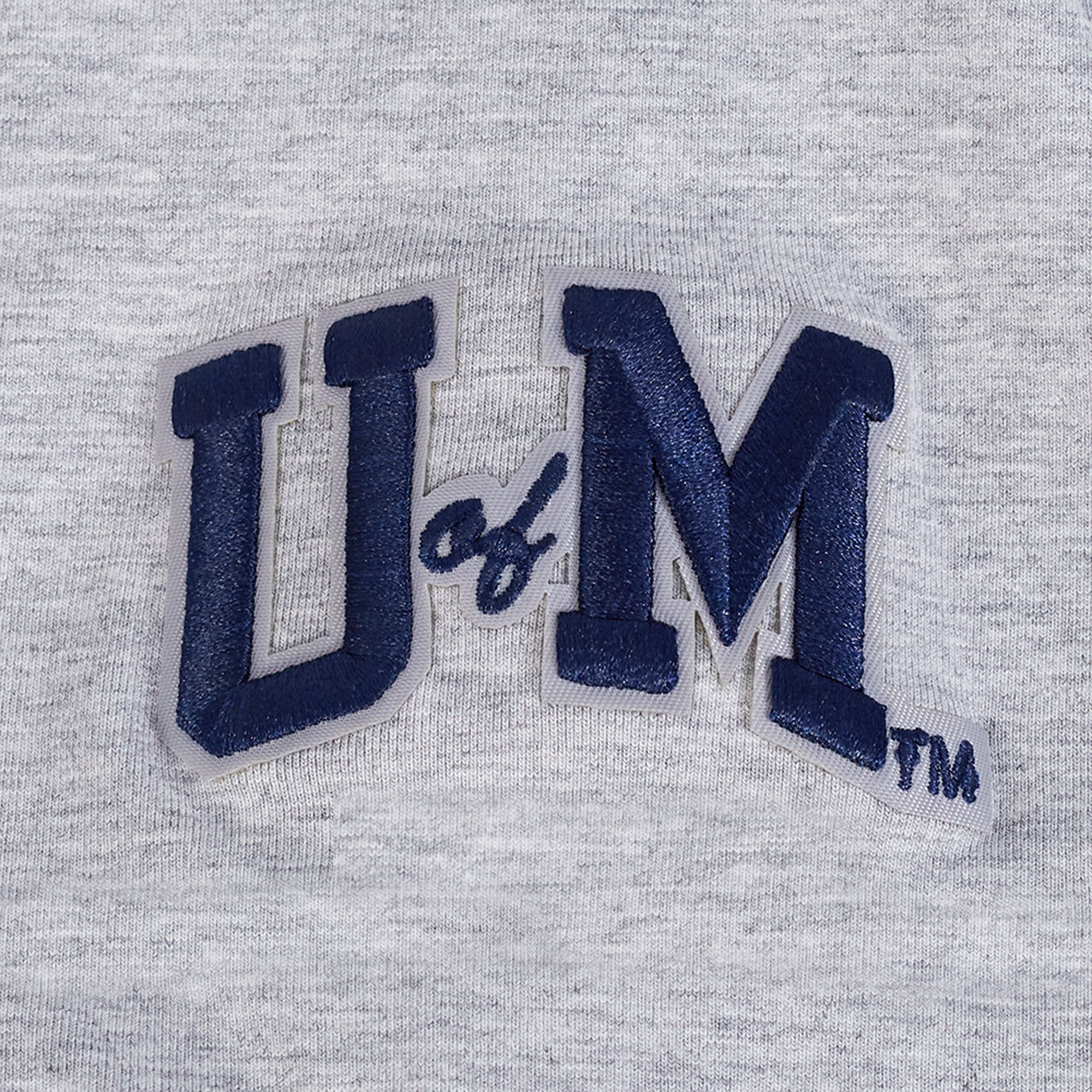 Pro Standard Michigan Women's Classic Boxy Tee - Gray - Image 3