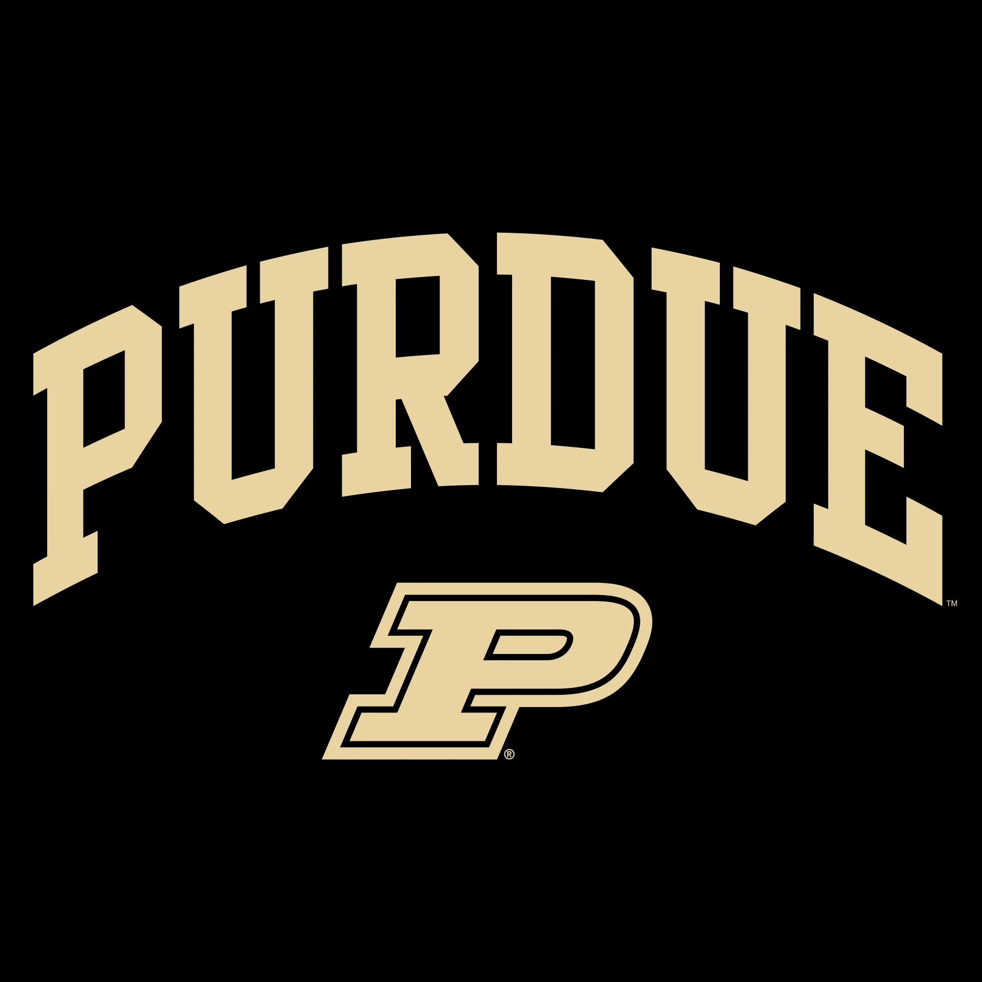 Purdue Boilermakers Arch Logo Crewneck Sweatshirt - Black - Image 2