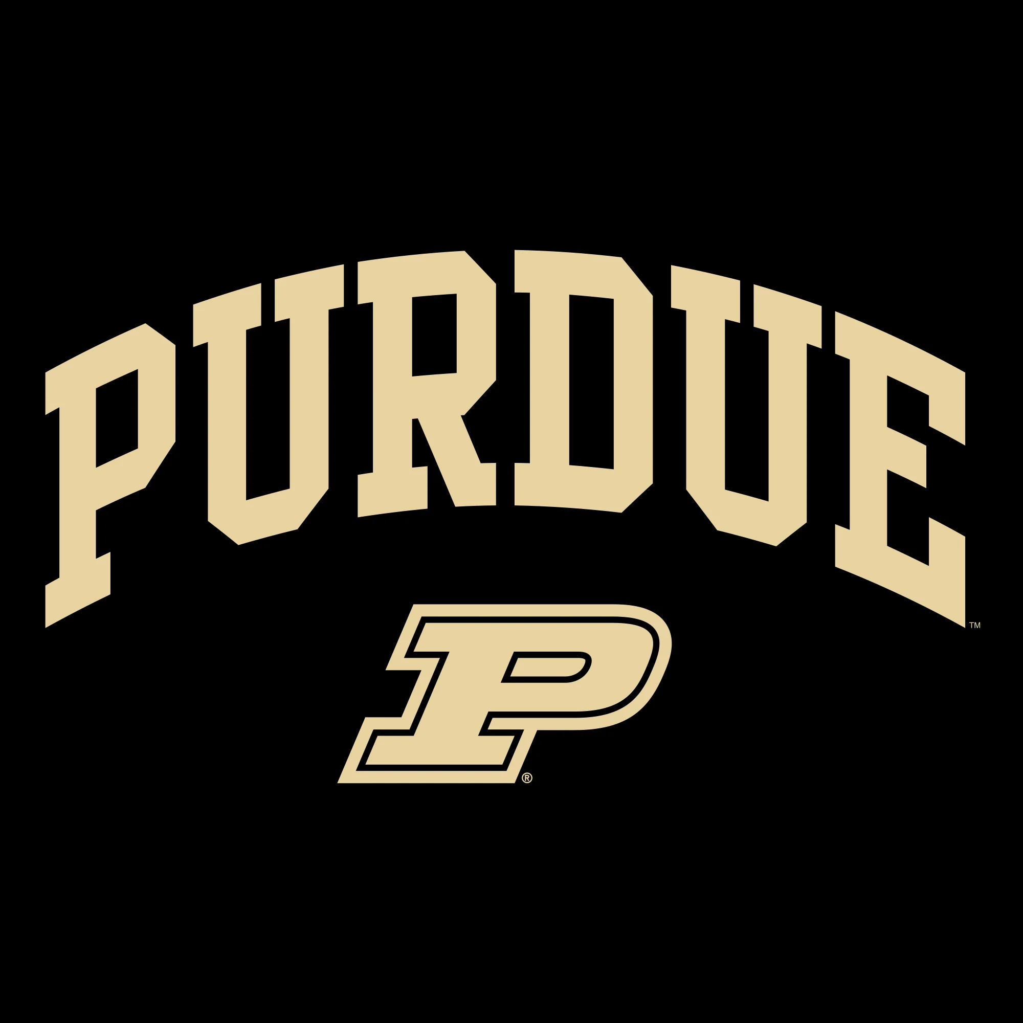 Purdue Boilermakers Arch Logo Long Sleeve T-Shirt - Black - Image 2