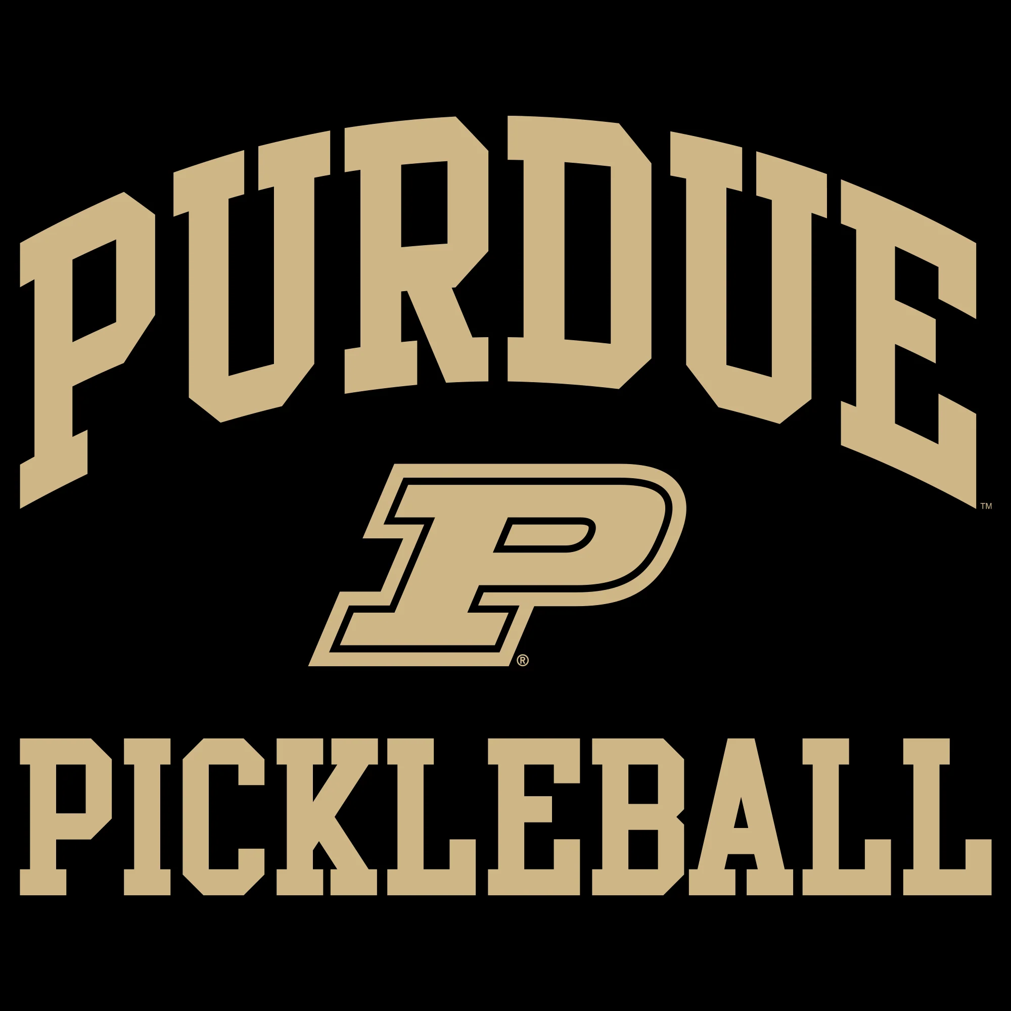 Purdue Boilermakers Arch Logo Pickleball T-Shirt - Black - Image 2
