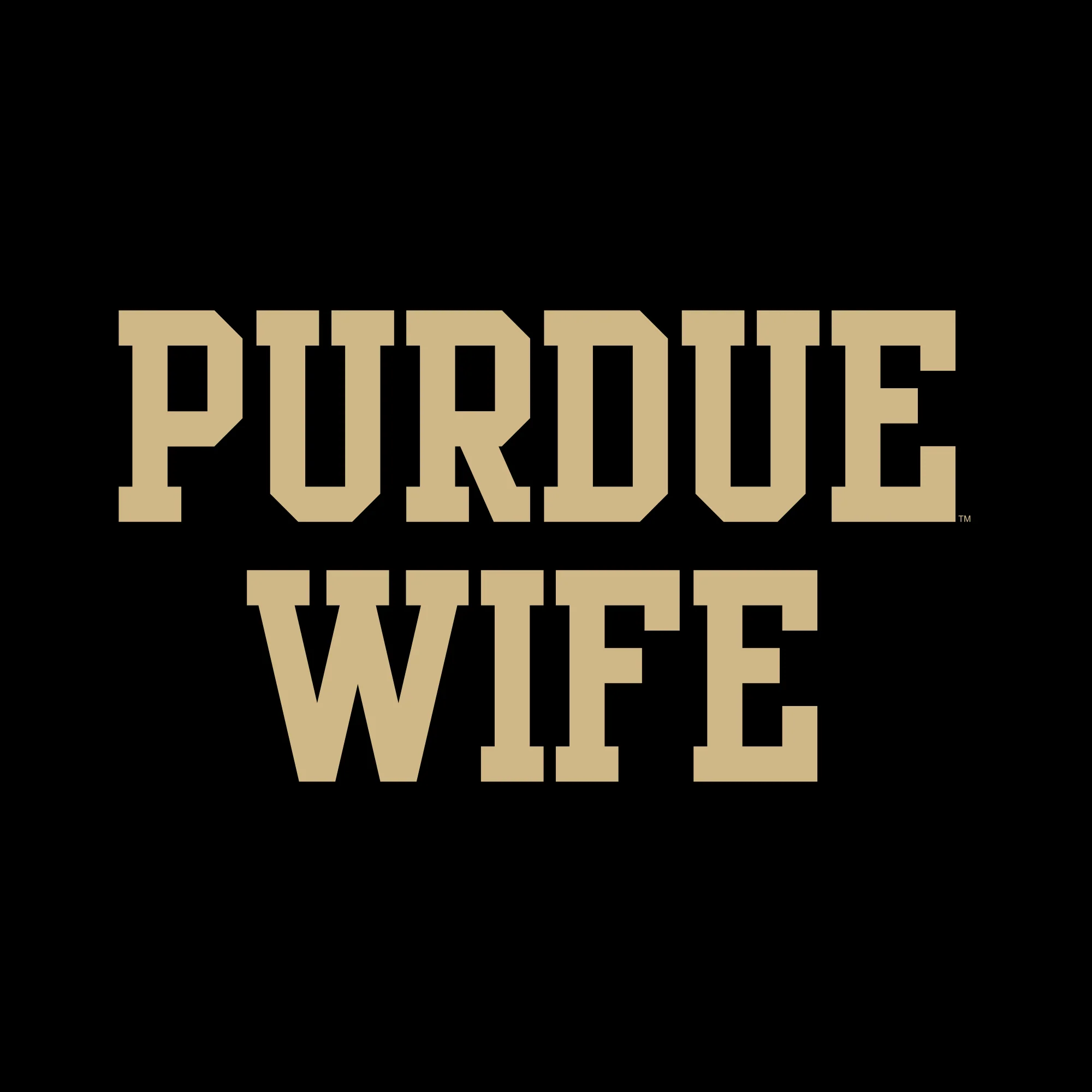 Purdue Boilermakers Basic Block Wife Women's T Shirt - Black - Image 2