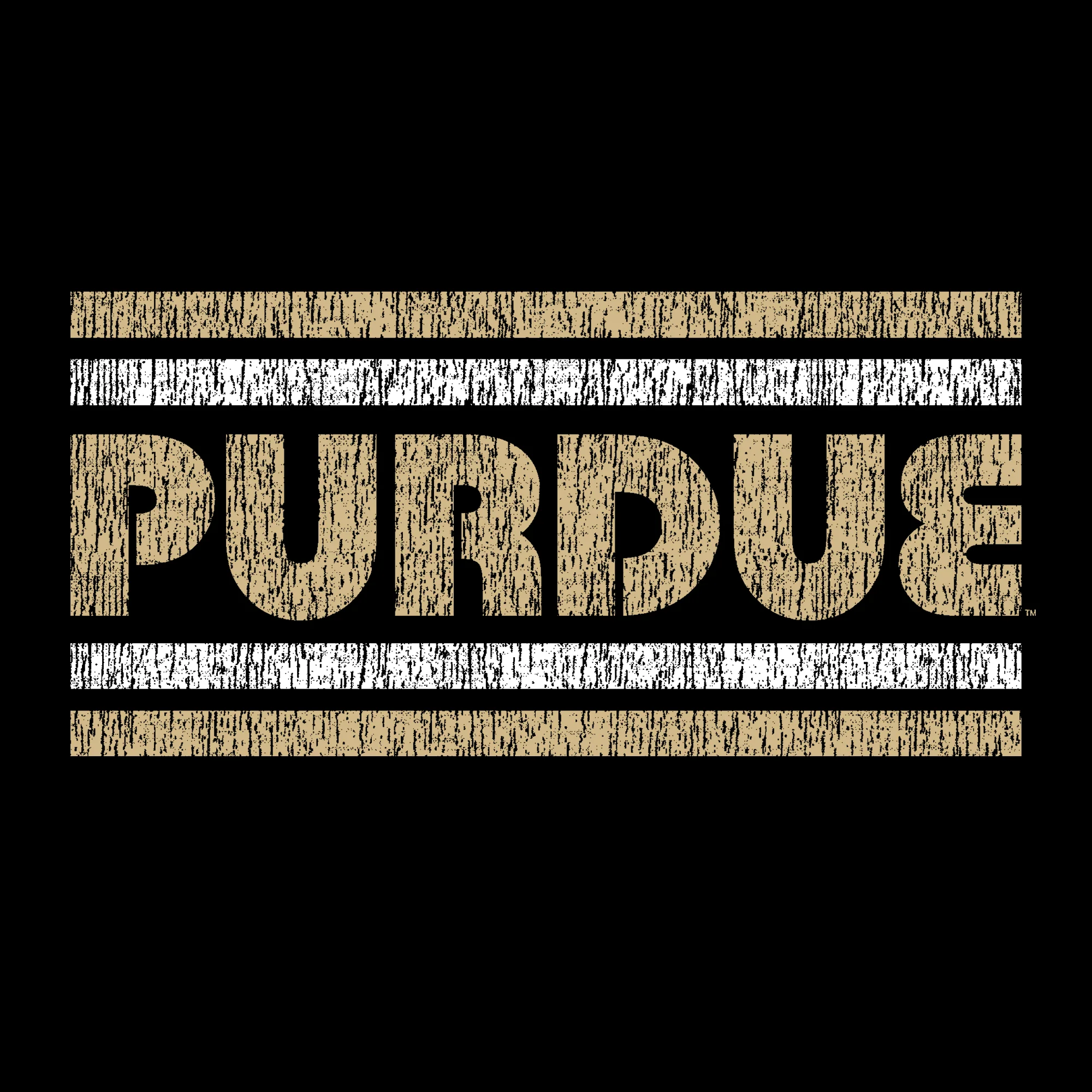 Purdue University Boilermakers Retro Underline T-Shirt - Black - Image 2