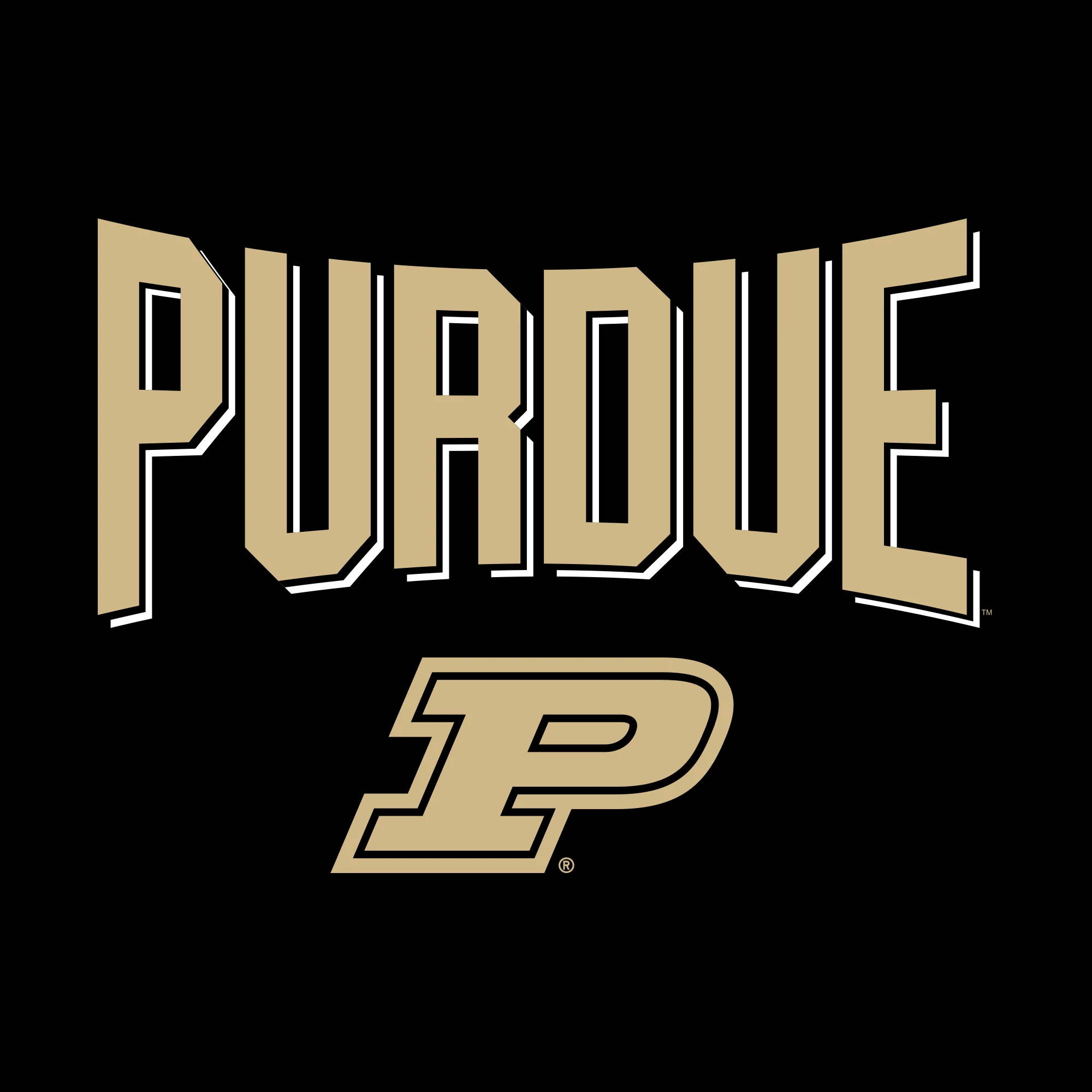 Purdue University Boilermakers Statement Block Youth Short Sleeve T-Shirt - Black - Image 2