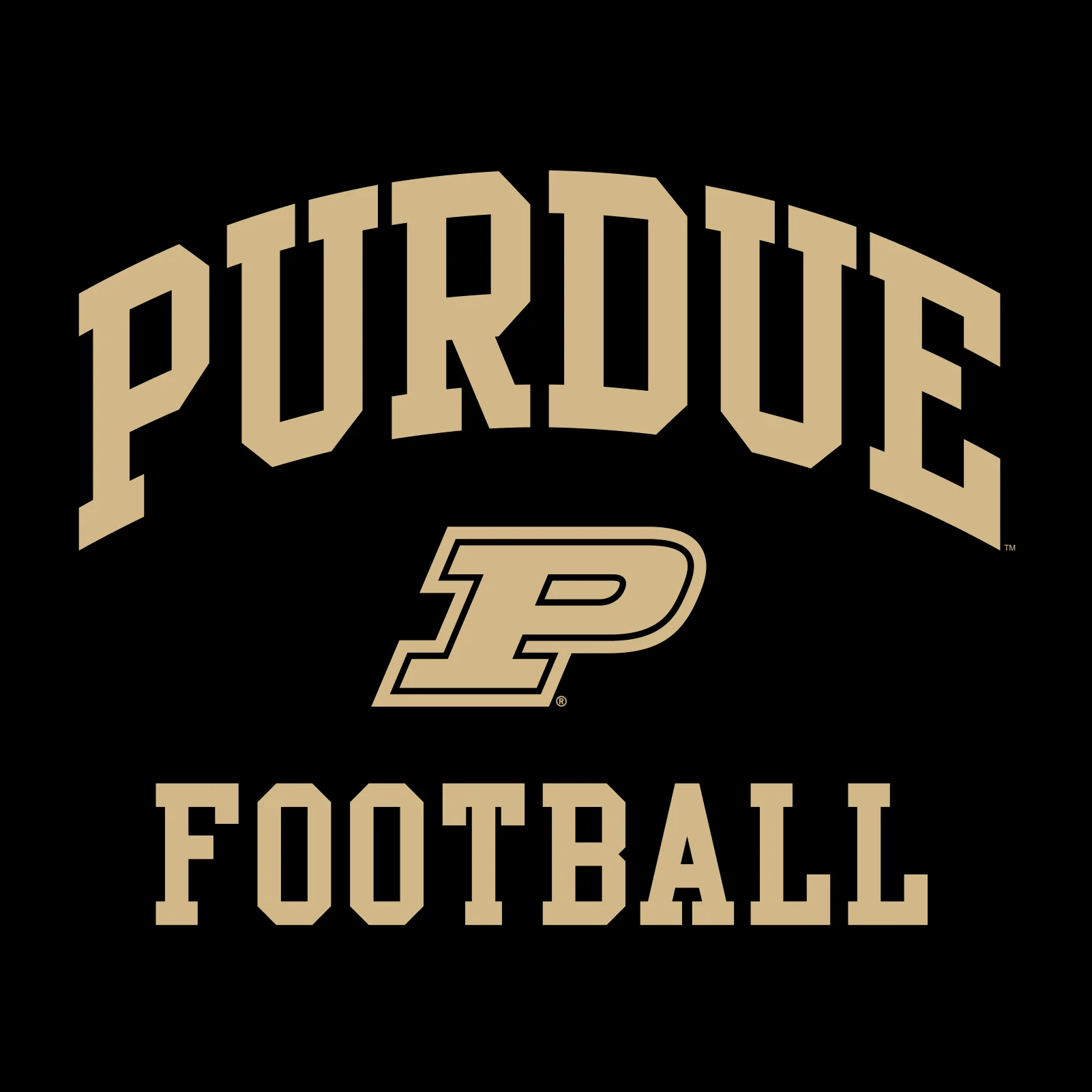 Purdue University Boilermakers Arch Logo Football Short Sleeve T Shirt - Black - Image 2