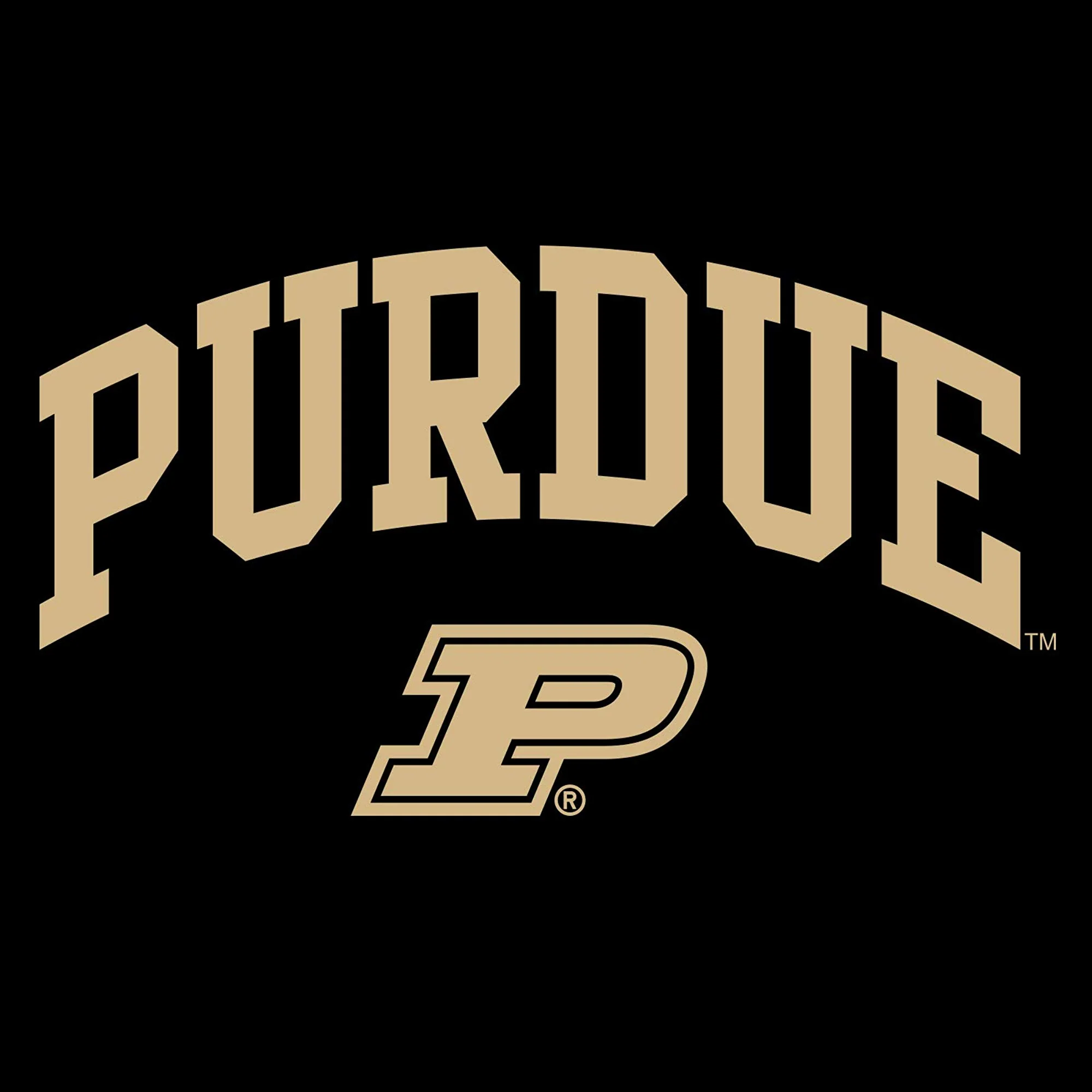 Purdue University Boilermakers Arch Logo Short Sleeve T Shirt - Black - Image 2