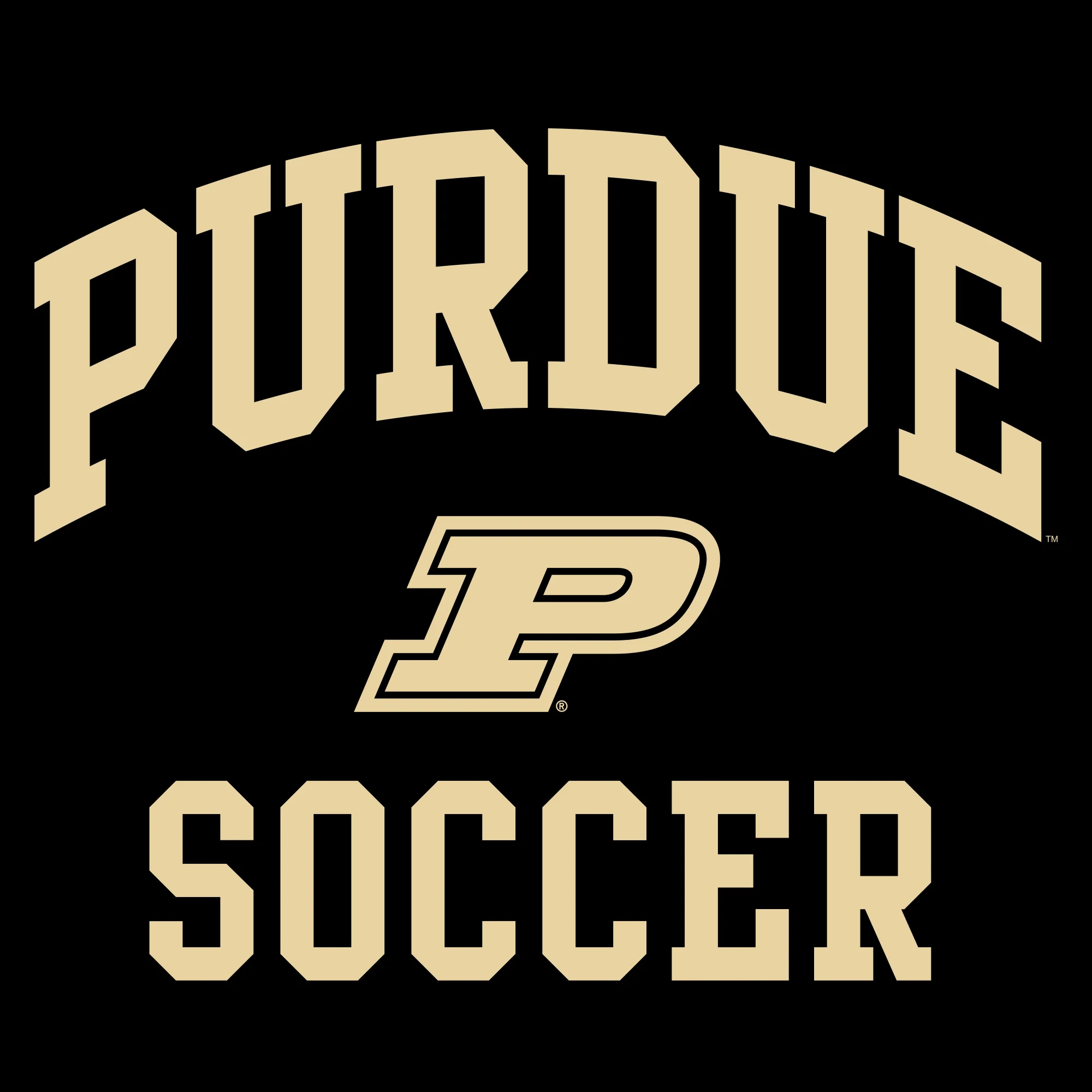 Purdue University Boilermakers Arch Logo Soccer Hoodie - Black - Image 2