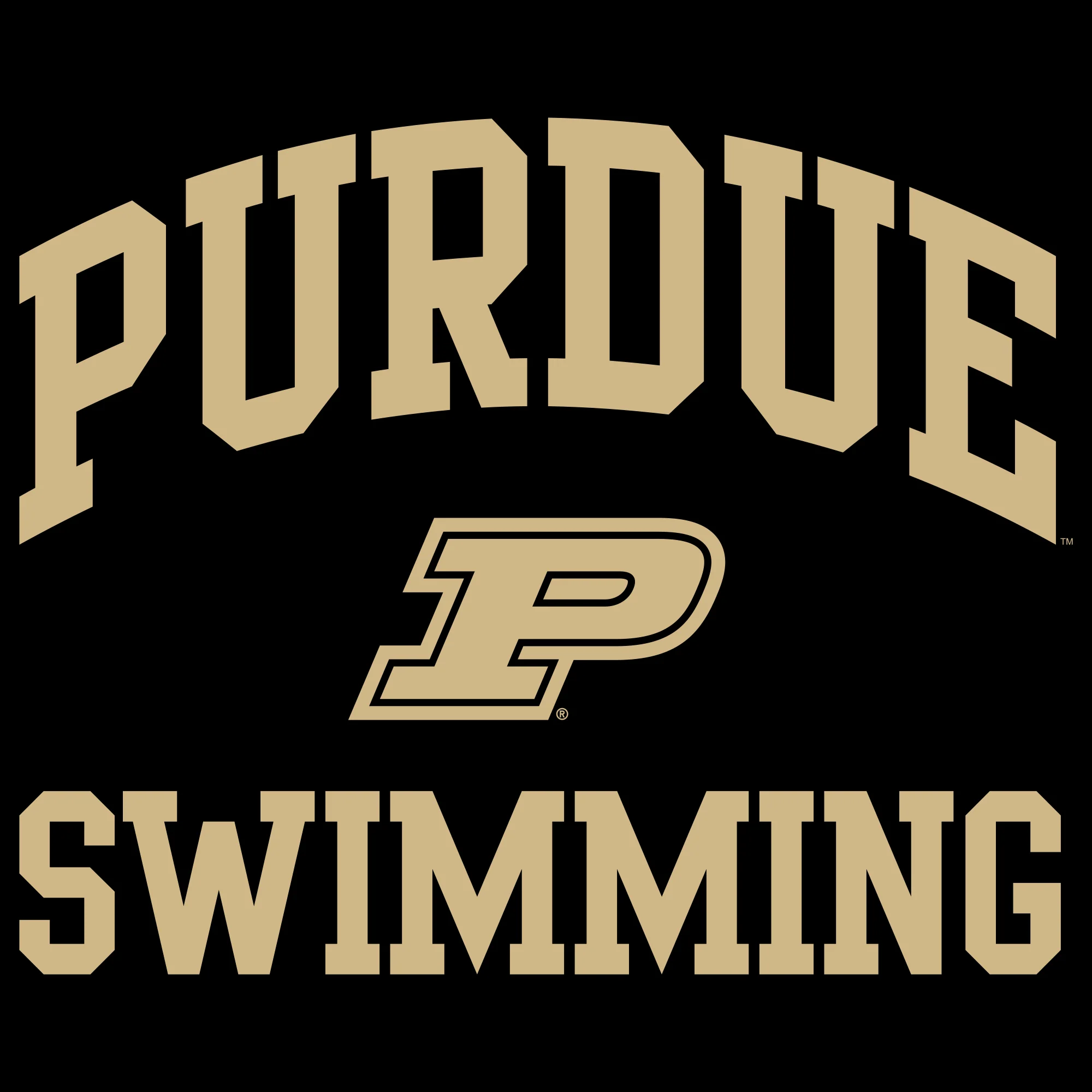 Purdue University Boilermakers Arch Logo Swimming Hoodie - Black - Image 2