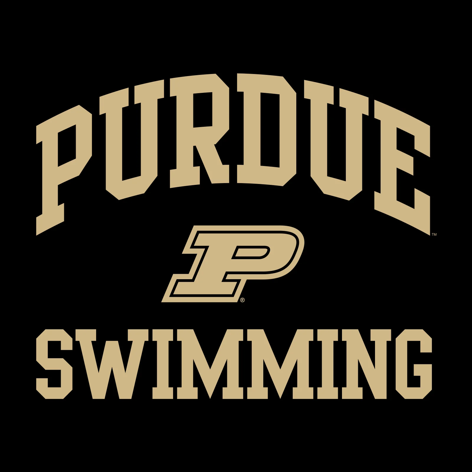 Purdue University Boilermakers Arch Logo Swimming Short Sleeve T Shirt - Black - Image 2