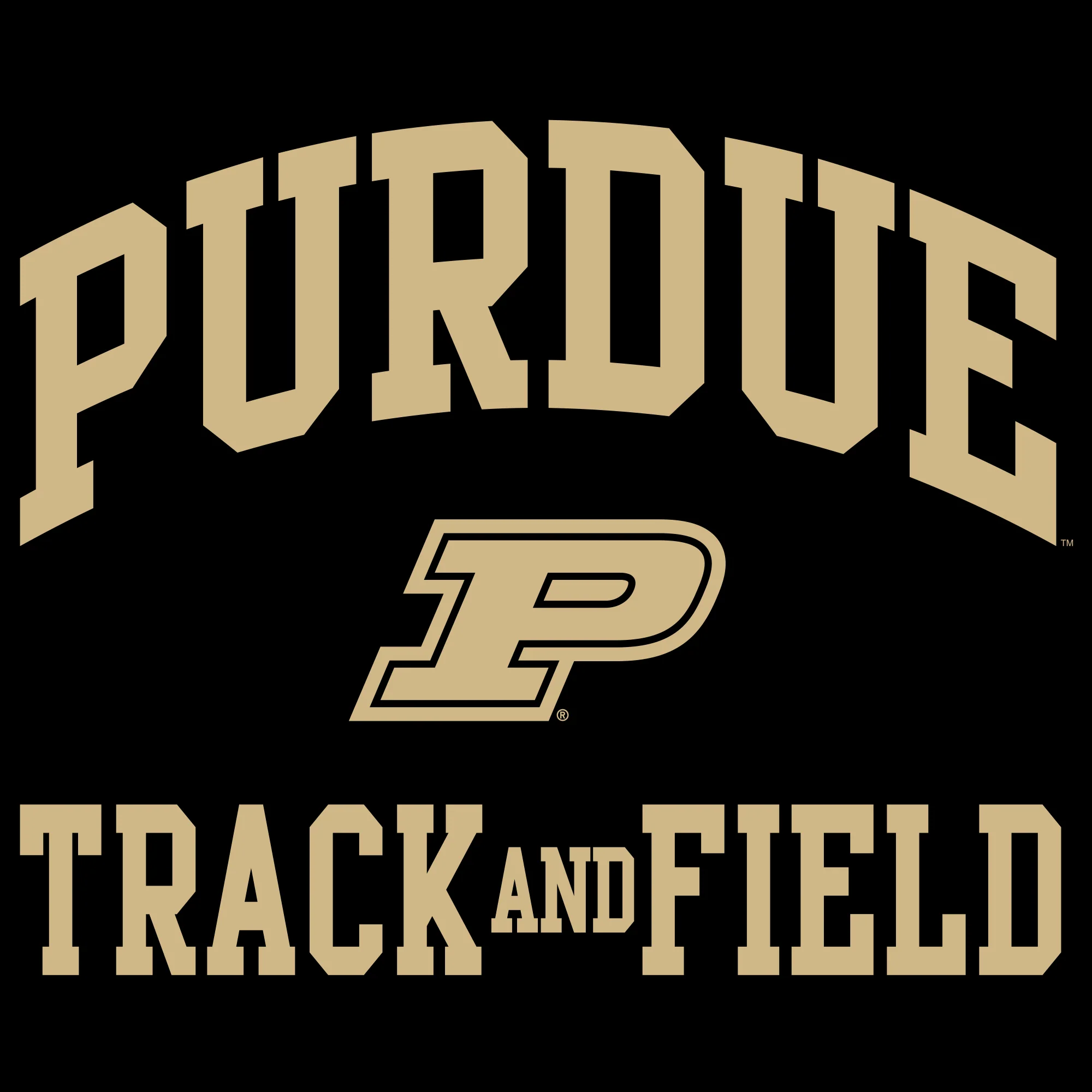Purdue University Boilermakers Arch Logo Track & Field Hoodie - Black - Image 2