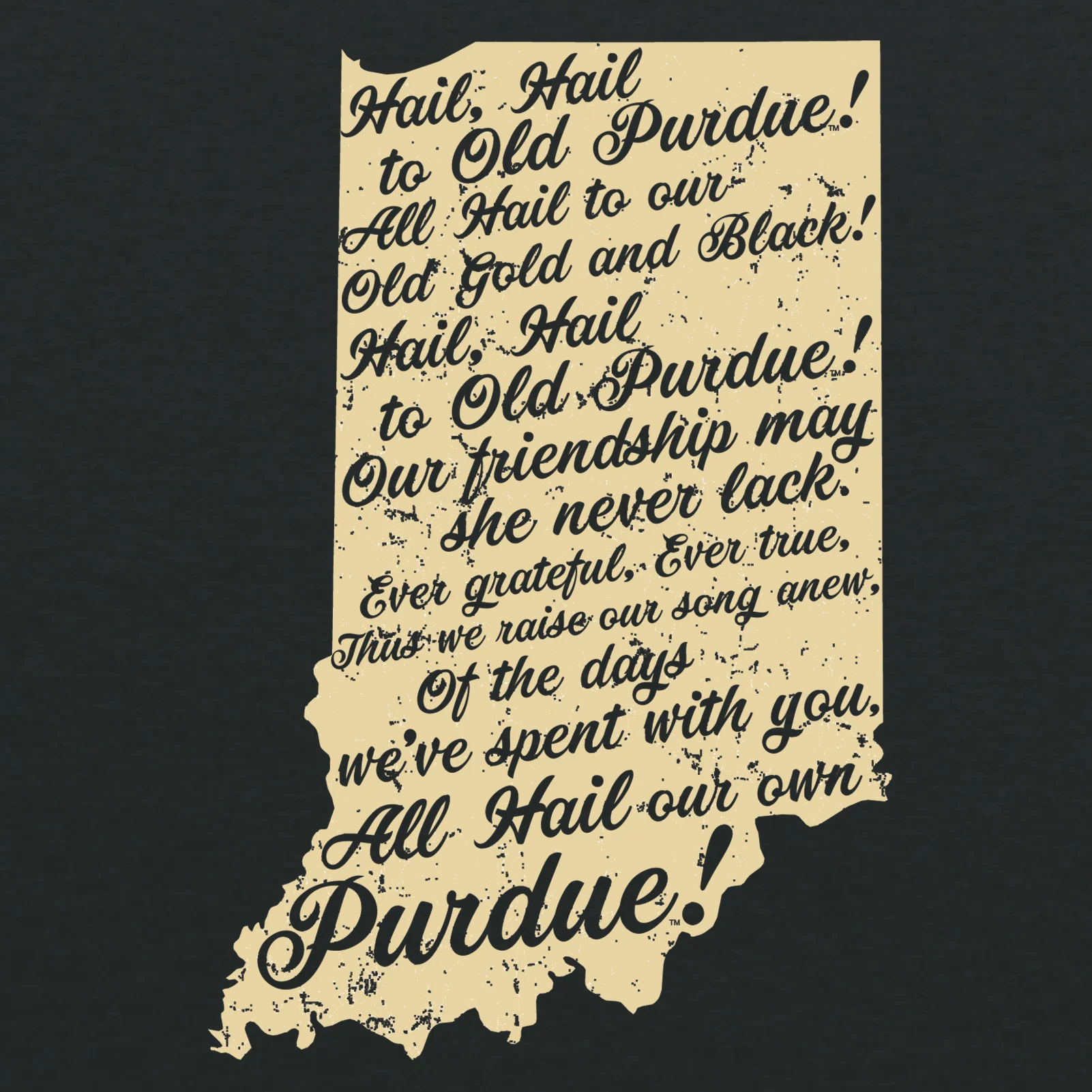 Purdue University Boilermakers Fight Song Short Sleeve T Shirt - Vintage Black - Image 2