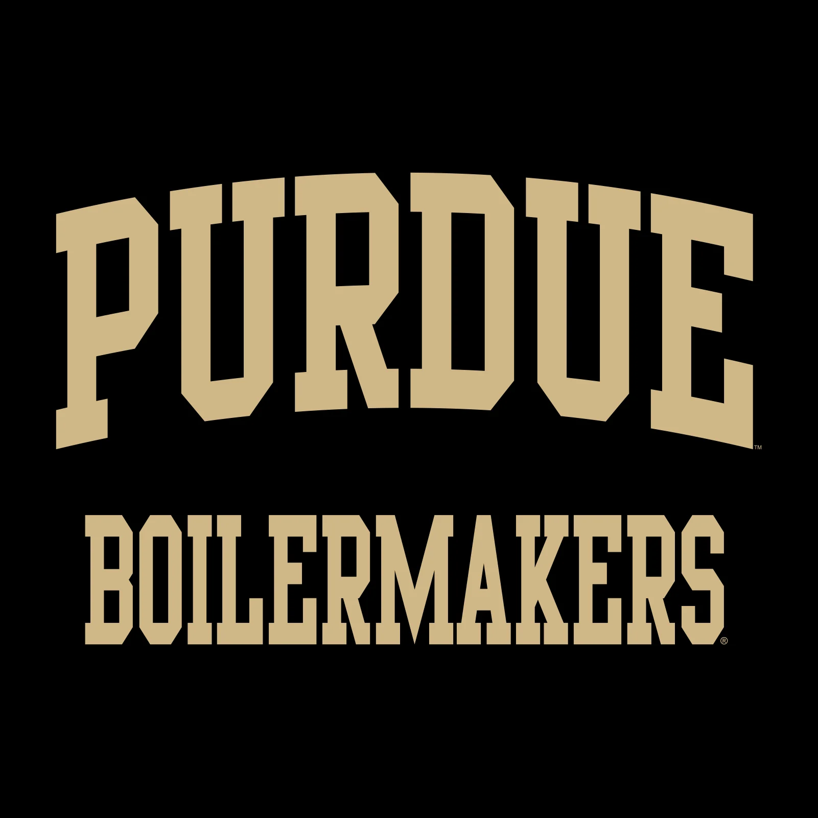 Purdue University Boilermakers Front Back Print Hoodie - Black - Image 2