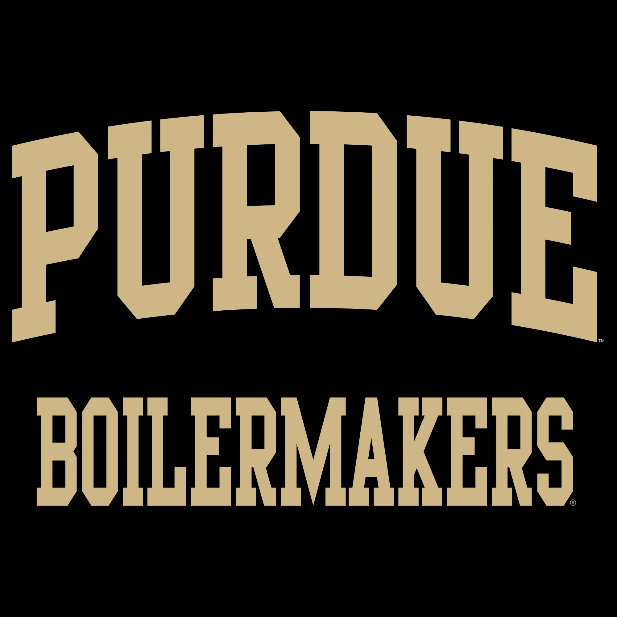 Purdue University Boilermakers Front Back Print Short Sleeve T Shirt - Black - Image 2