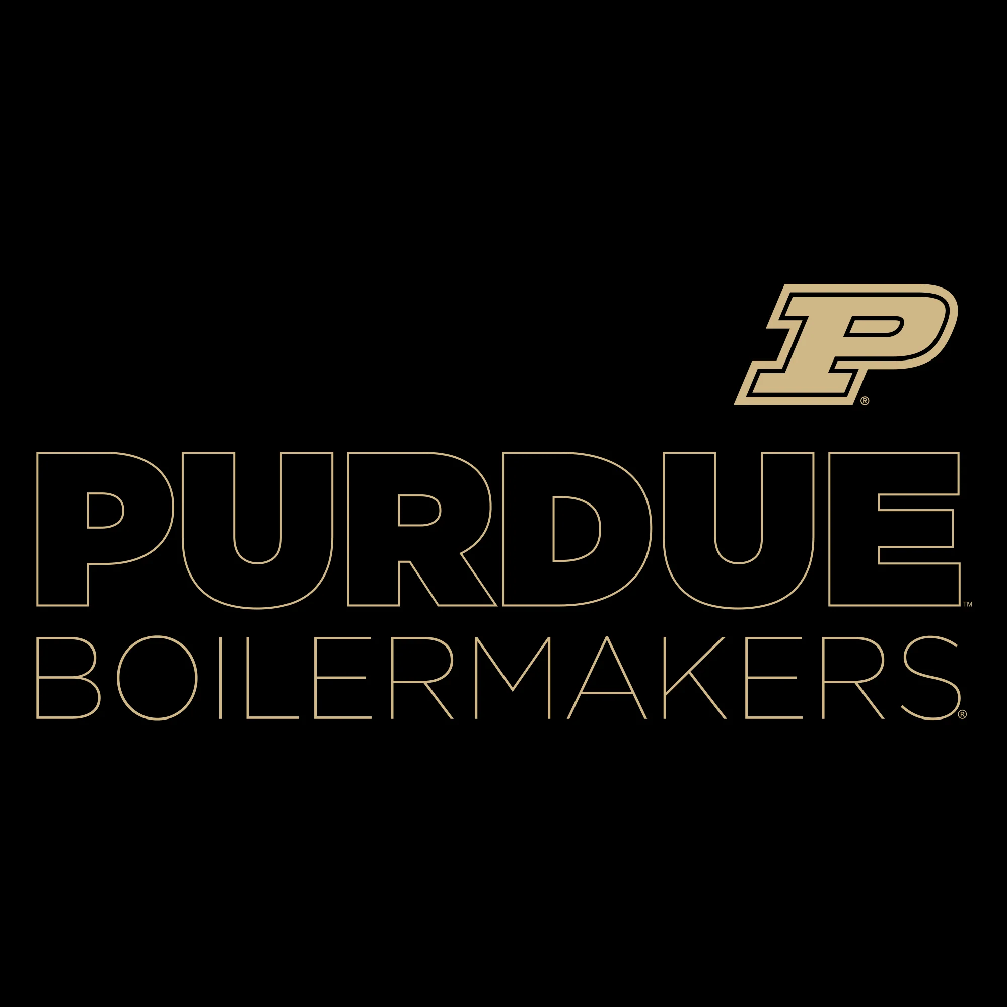 Purdue University Boilermakers Modern Outline Hoodie - Black - Image 2