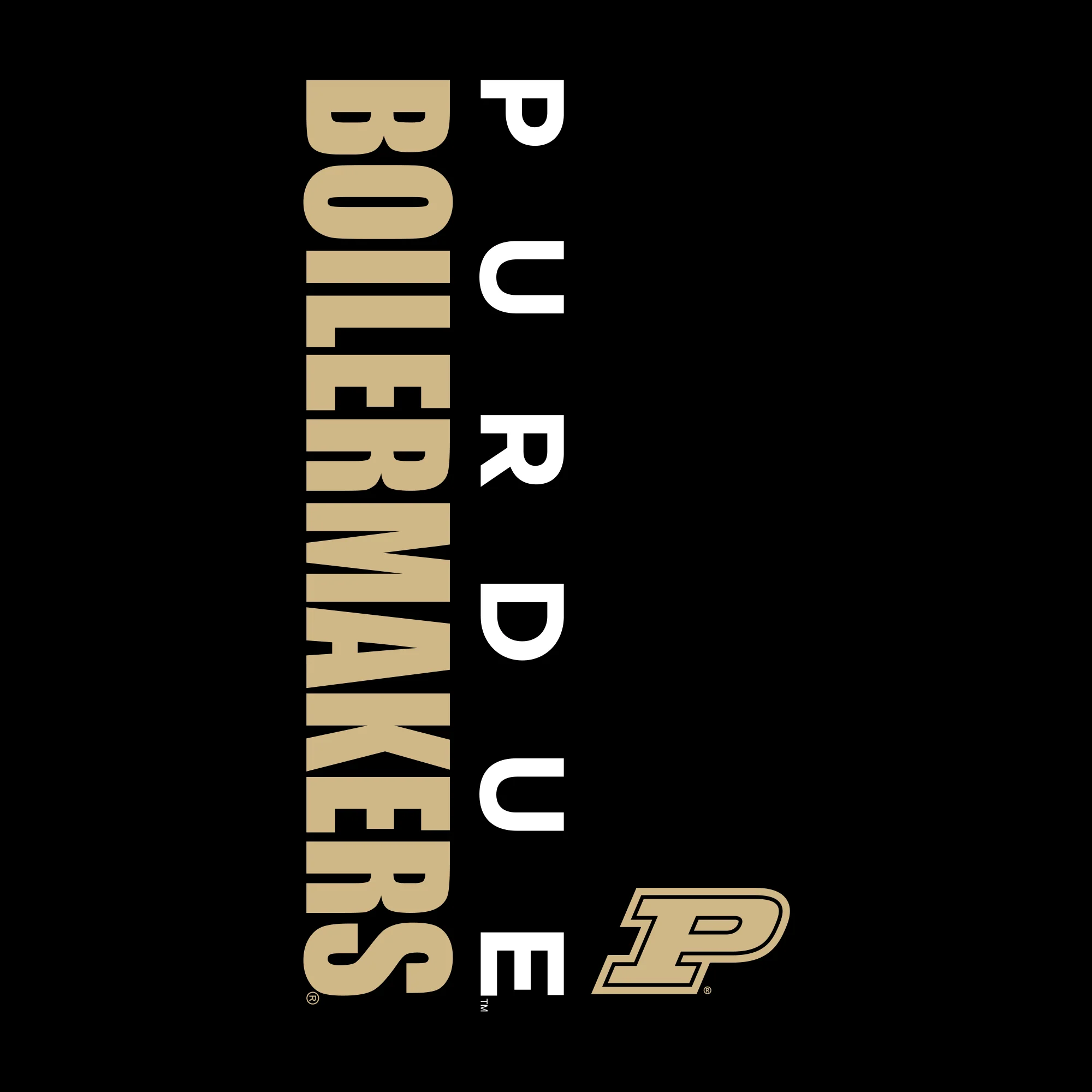 Purdue University Boilermakers Vertical Block Left Chest Full-Zip Hoodie - Black - Image 2