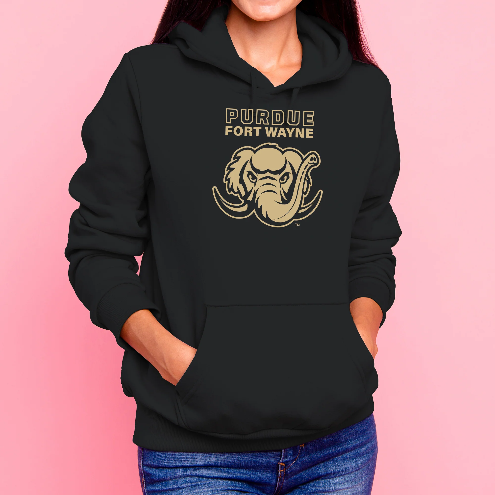 Purdue University Fort Wayne Mastodons Primary Logo Hoodie - Black - Image 4