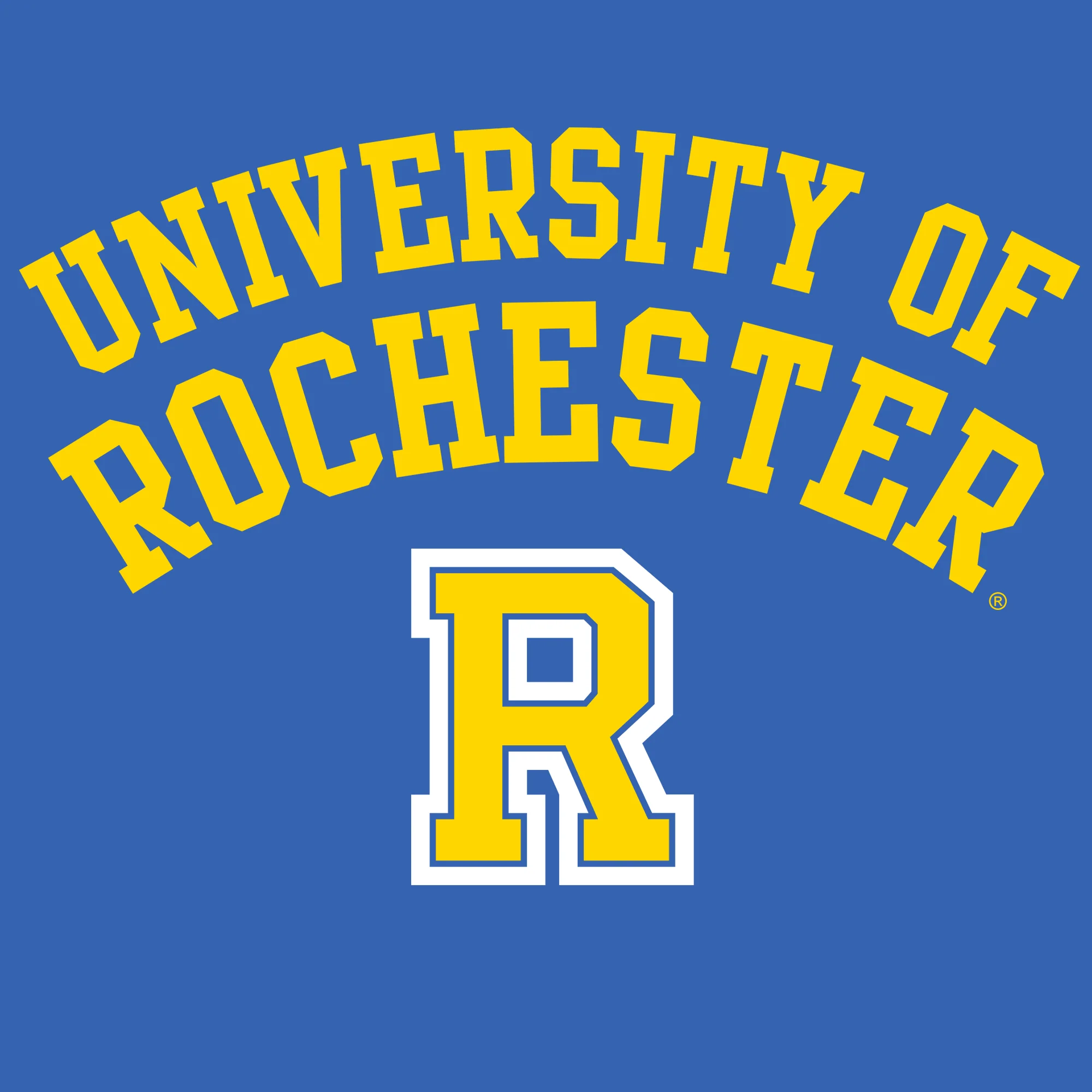 University of Rochester Yellowjackets Arch Logo Heavy Blend Hoodie - Royal - Image 2