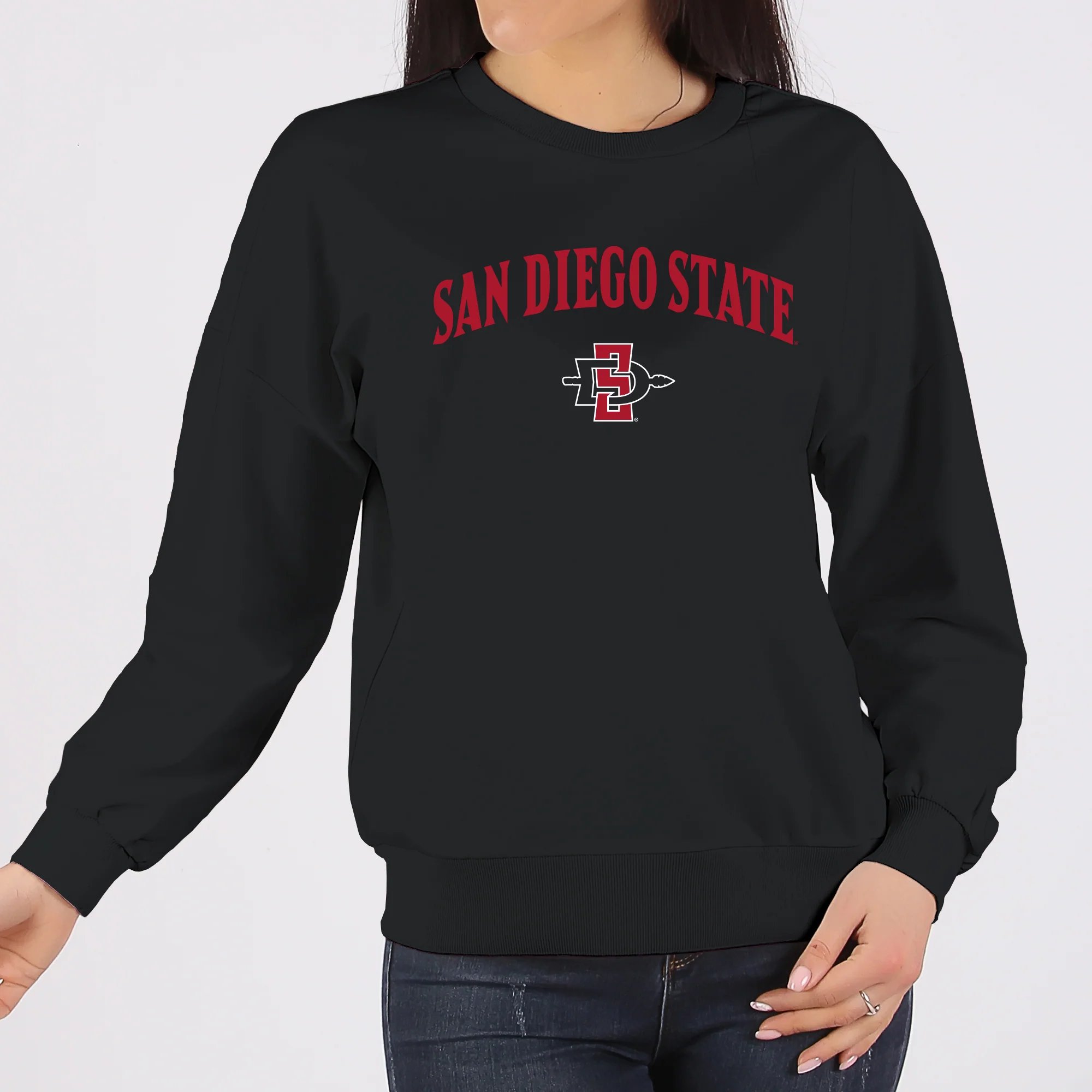 San Diego State Aztecs Arch Logo Crewneck Sweatshirt - Black - Image 4