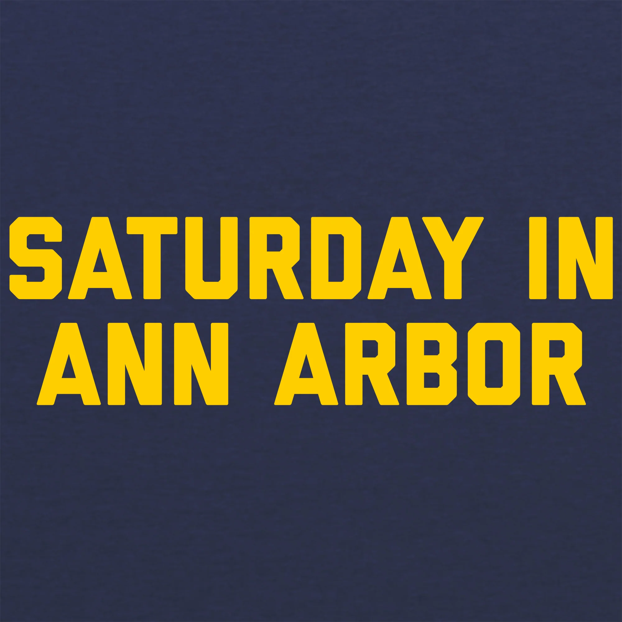 Saturday in Ann Arbor JA BTB Hoodie - Navy - Image 2