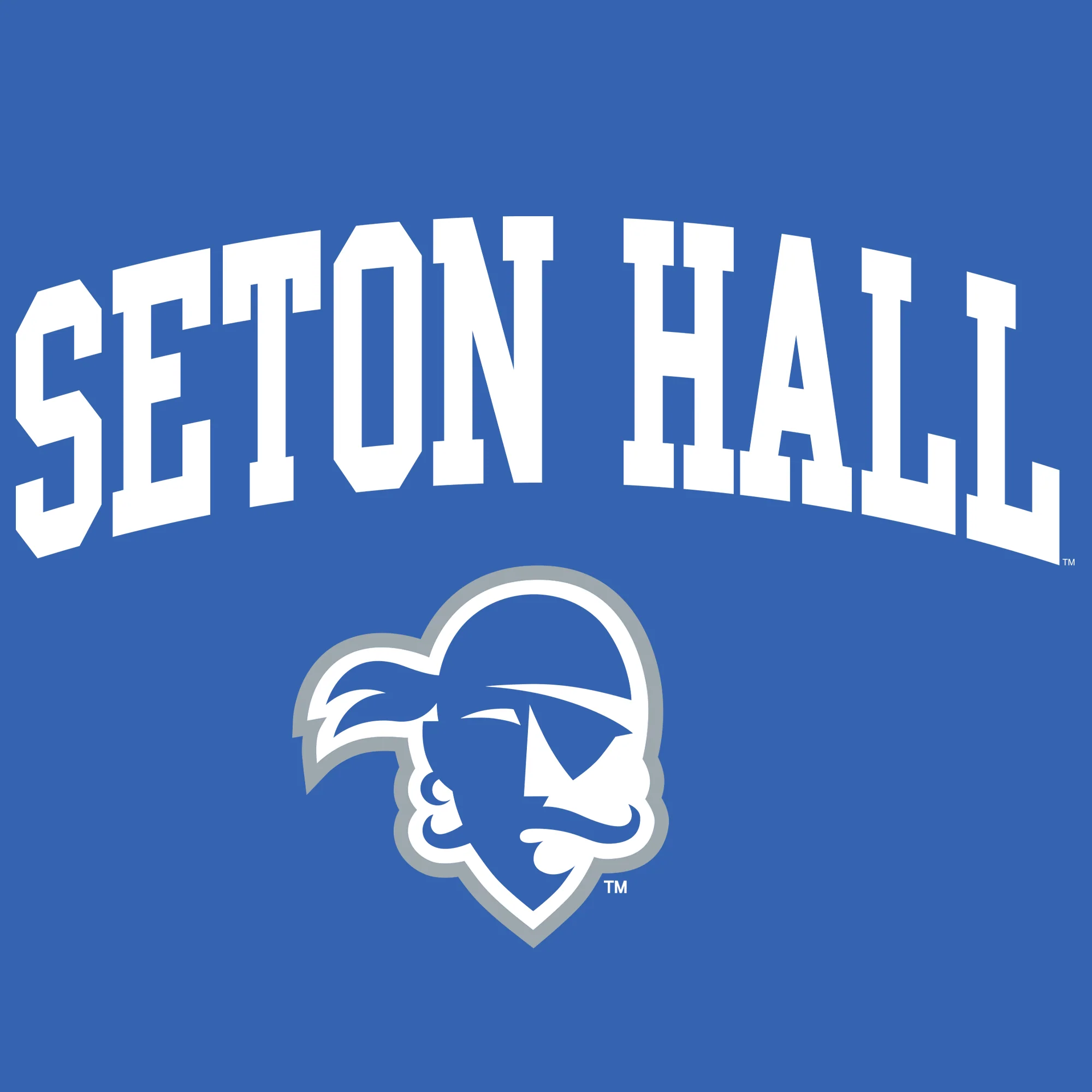 Seton Hall University Pirates Arch Logo Heavy Blend Hoodie - Royal - Image 2