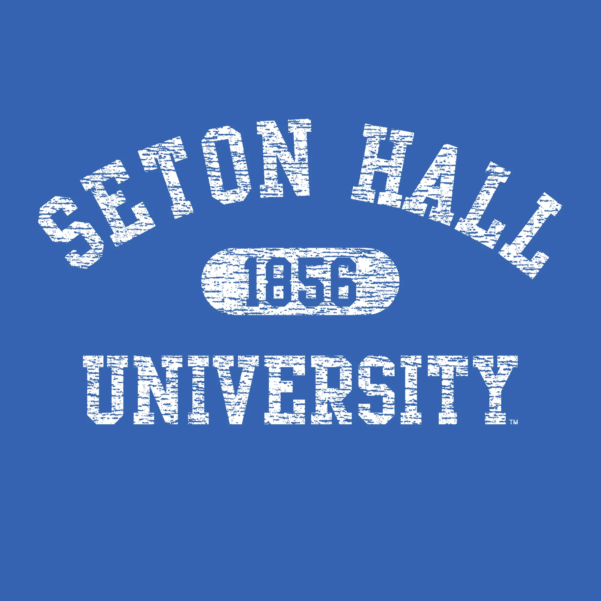 Seton Hall Athletic Arch Hoodie - Royal - Image 2