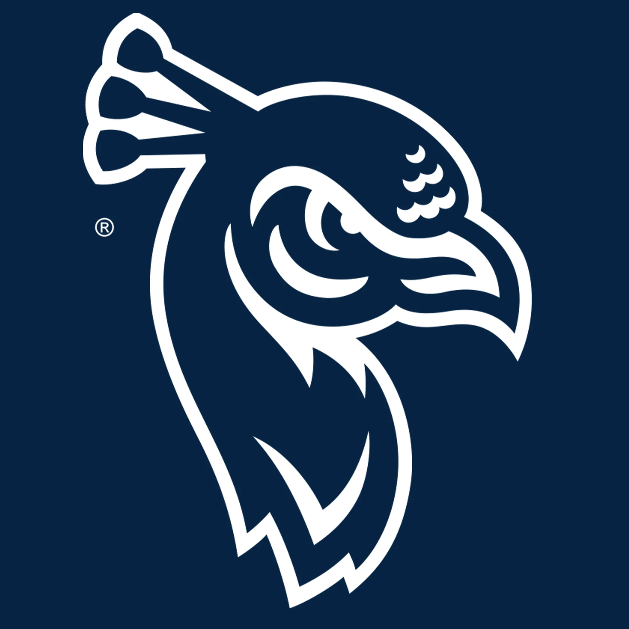 St Peter's Peacock Primary Logo Sweatpants - Navy - Image 2