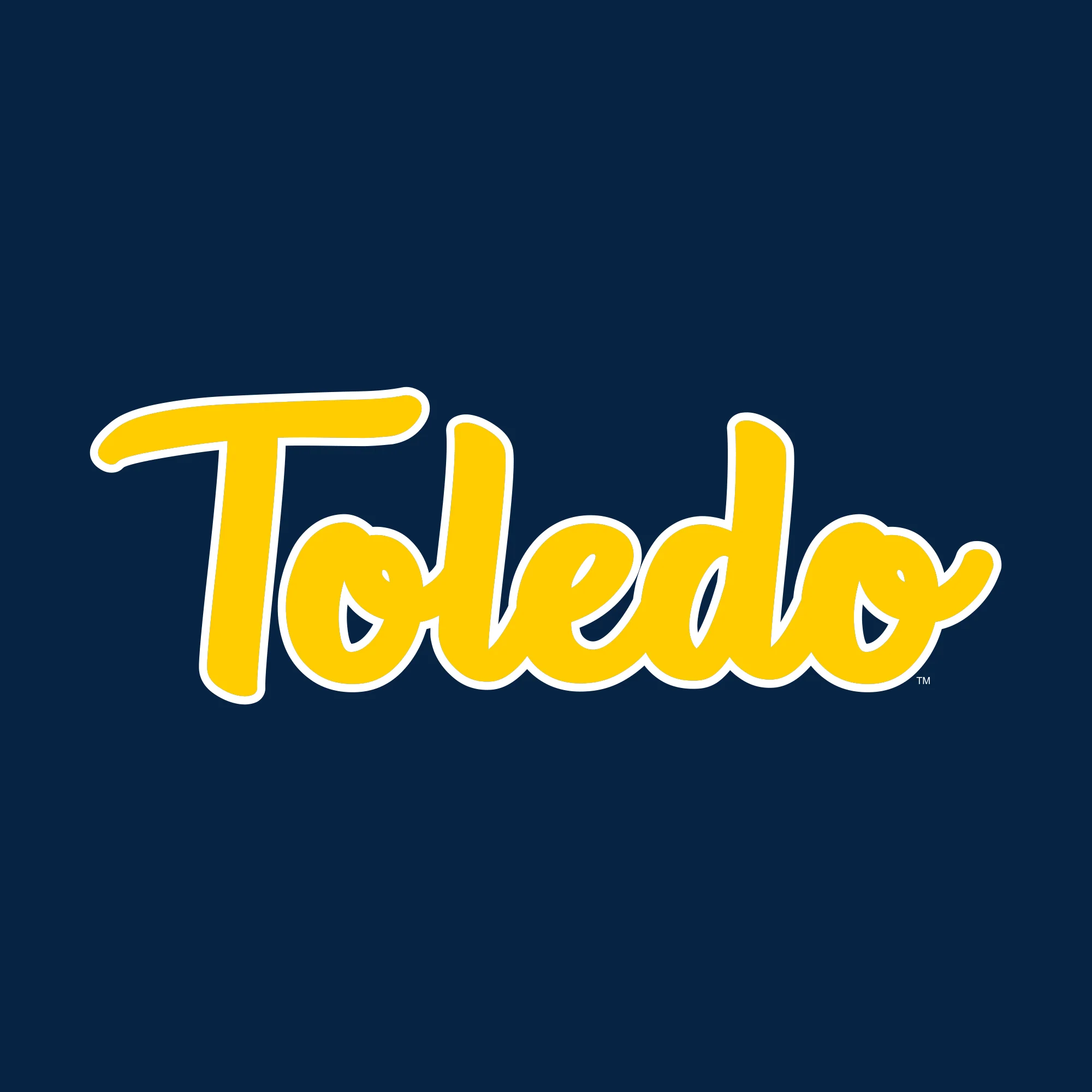 University of Toledo Rockets Basic Script Heavy Blend Hoodie - Navy - Image 2