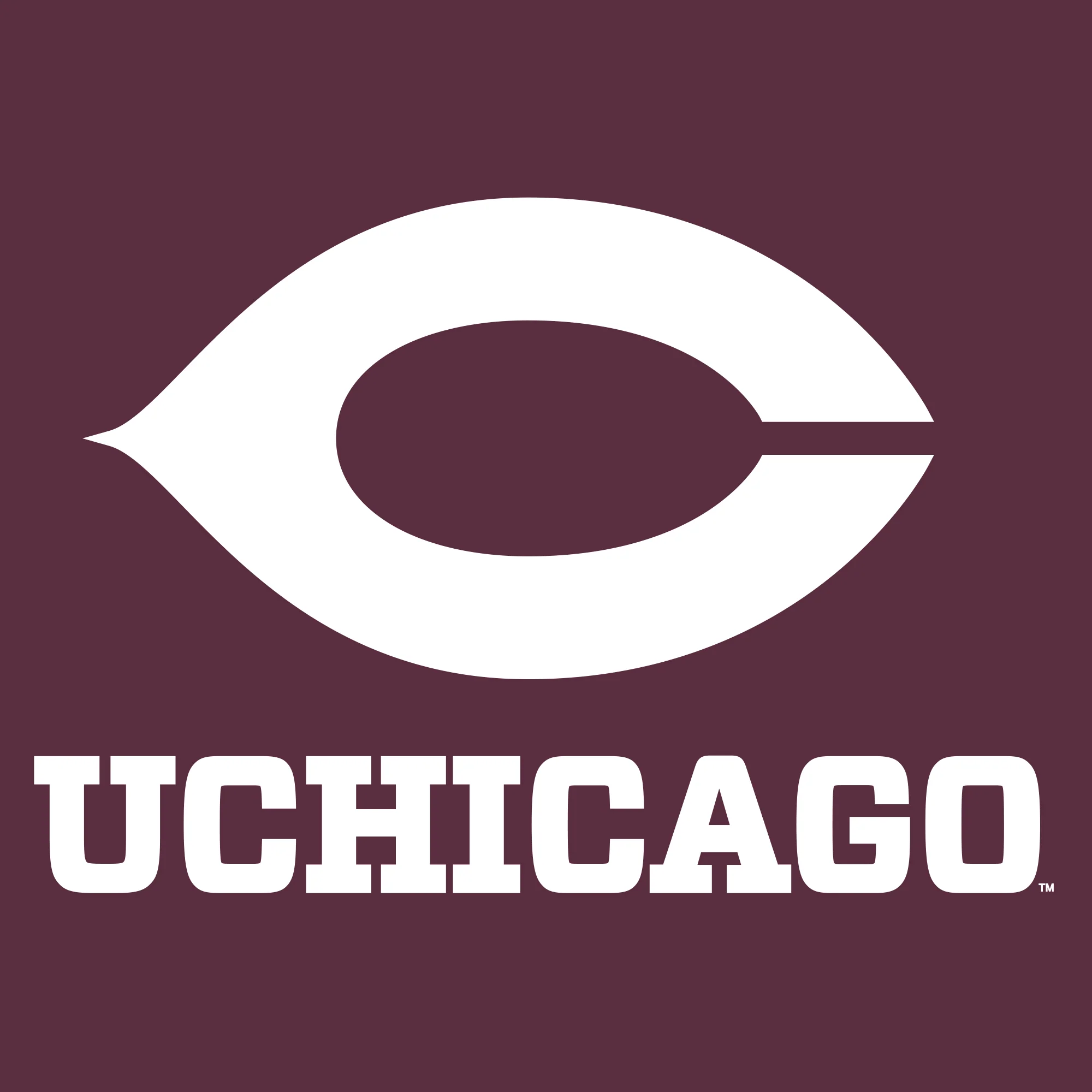 UChicago Primary Logo Long Sleeve - Maroon - Image 2