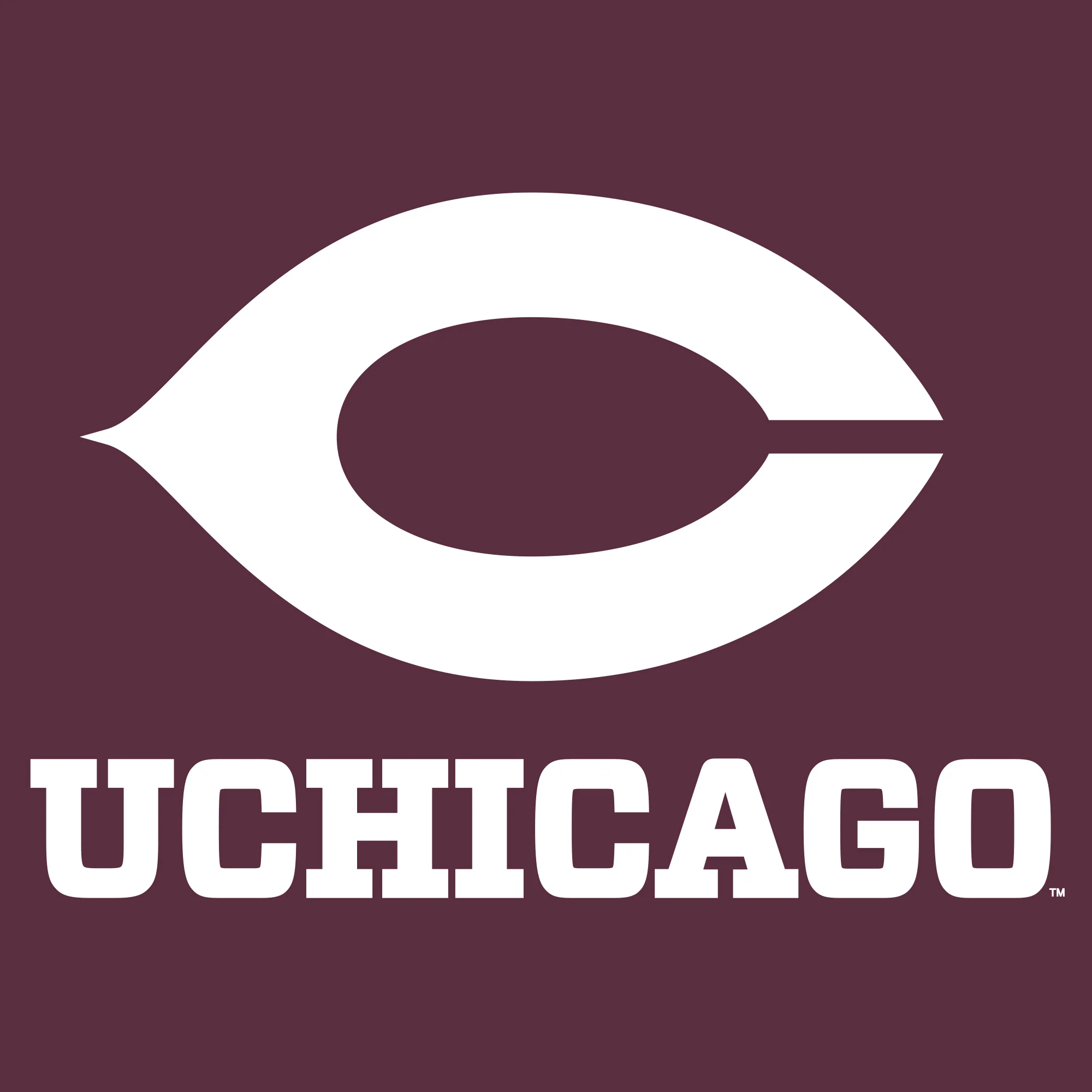 UChicago Primary Logo Youth T-Shirt - Maroon - Image 2