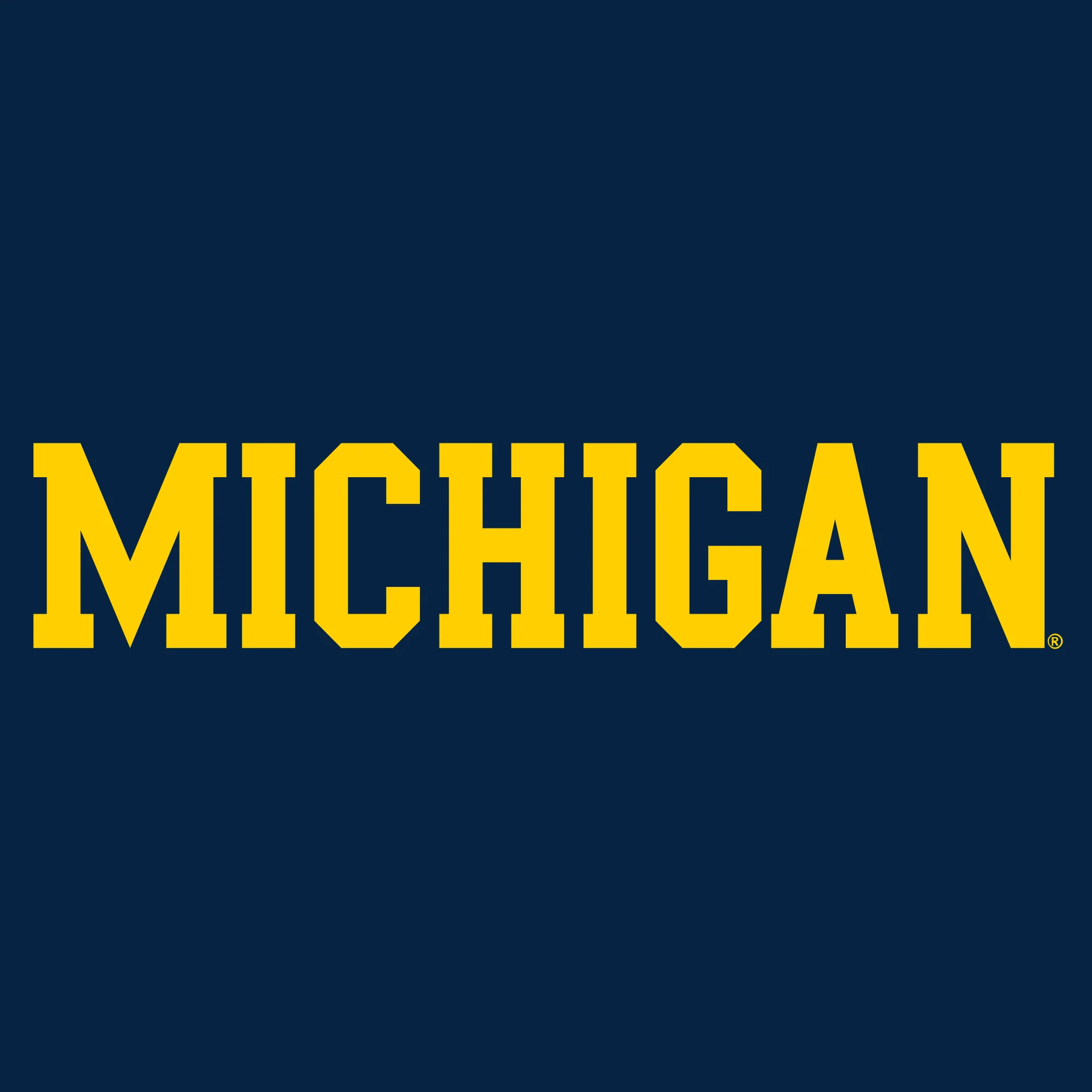 UGP Block Michigan Toddler Tee - Navy - Image 2